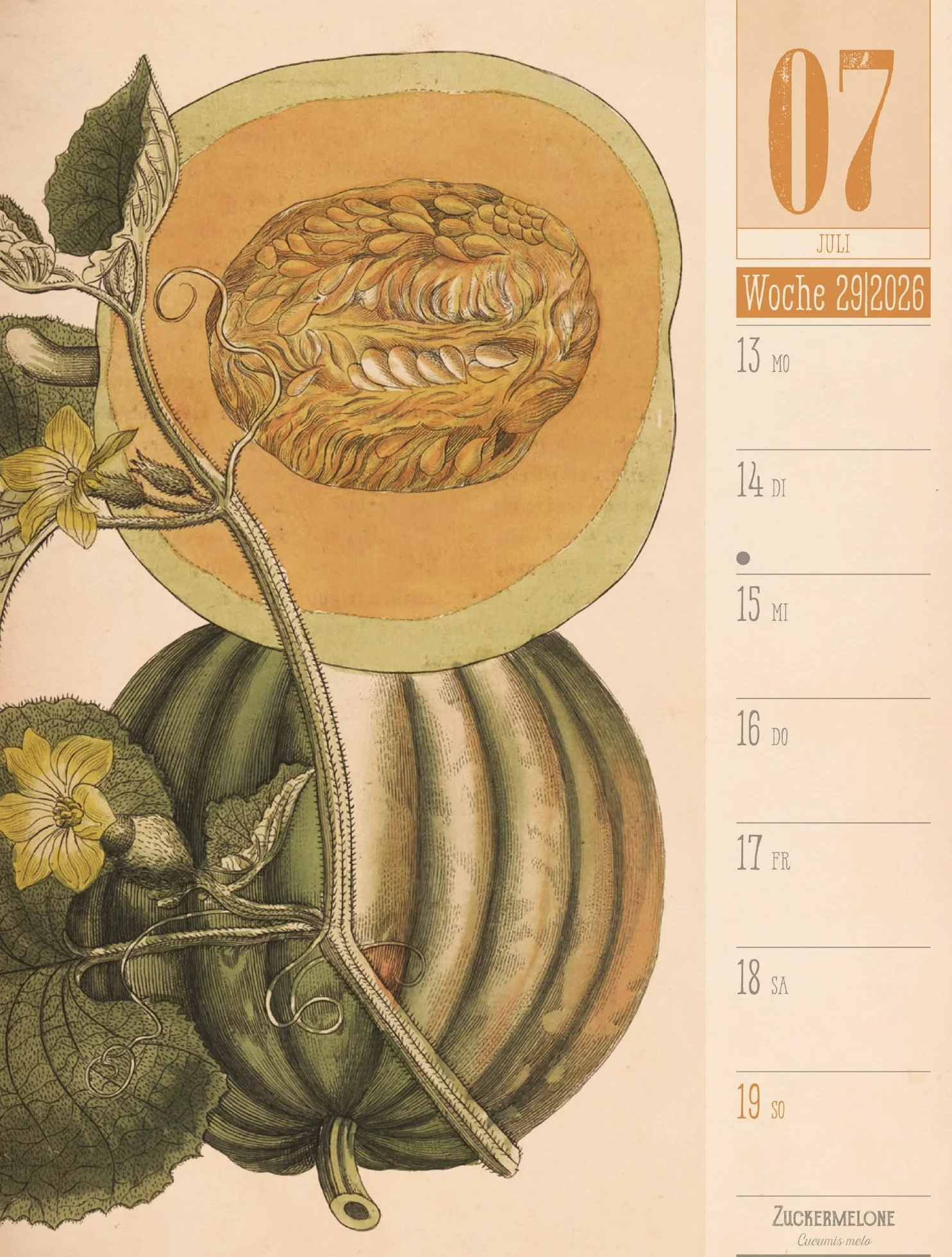 Culinarium Wochenplaner Kalender 2026 | Küche, Kräuter, Kurioses: Informativer Küchen-Wochenkalender im Hochformat (25x33 cm) | Vintage & Retro