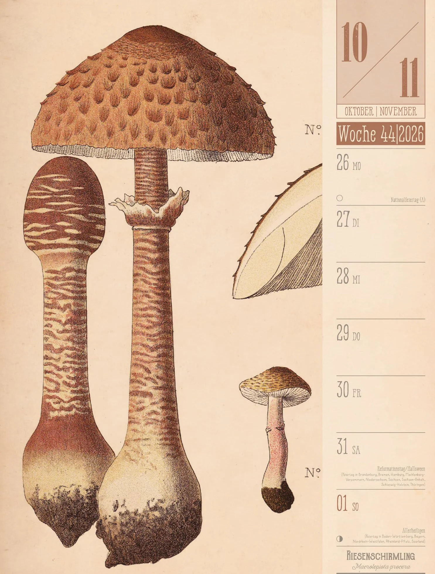 Culinarium Wochenplaner Kalender 2026 | Küche, Kräuter, Kurioses: Informativer Küchen-Wochenkalender im Hochformat (25x33 cm) | Vintage & Retro