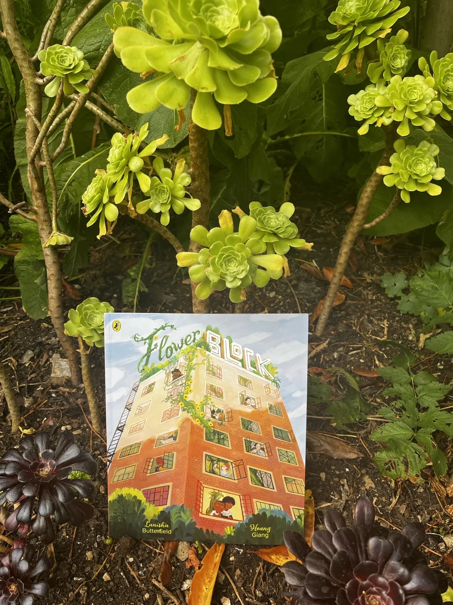 Flower Block: A magical story for 3-6 year olds