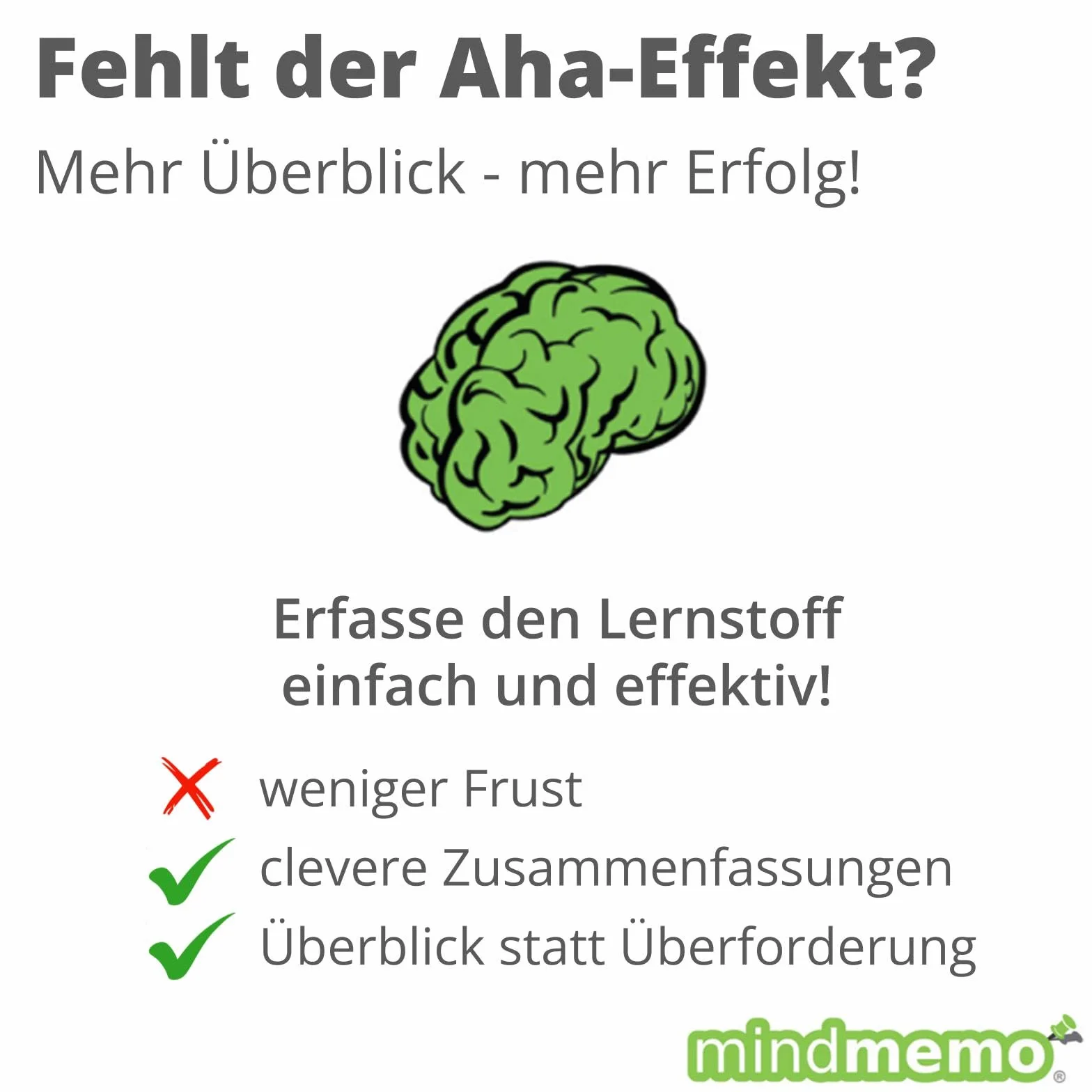 mindmemo Lernfolder - First Steps - Englisch für Einsteiger - Vokabeln lernen mit Bildern - Zusammenfassung: genial-einfache Lernhilfe - ... foliert DIN A4 6 Seiten + Abhefter