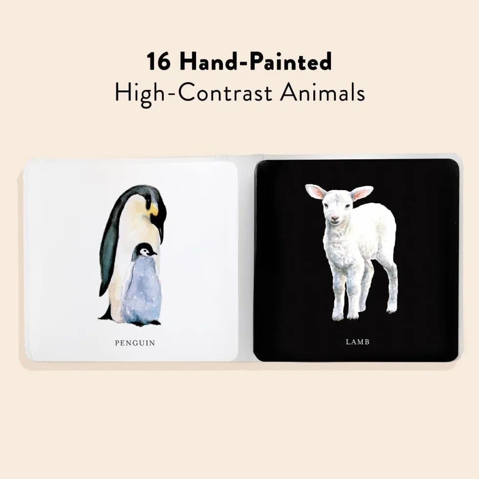 Baby's Black and White Contrast Book: High-Contrast Art for Visual Stimulation at Tummy Time: 4