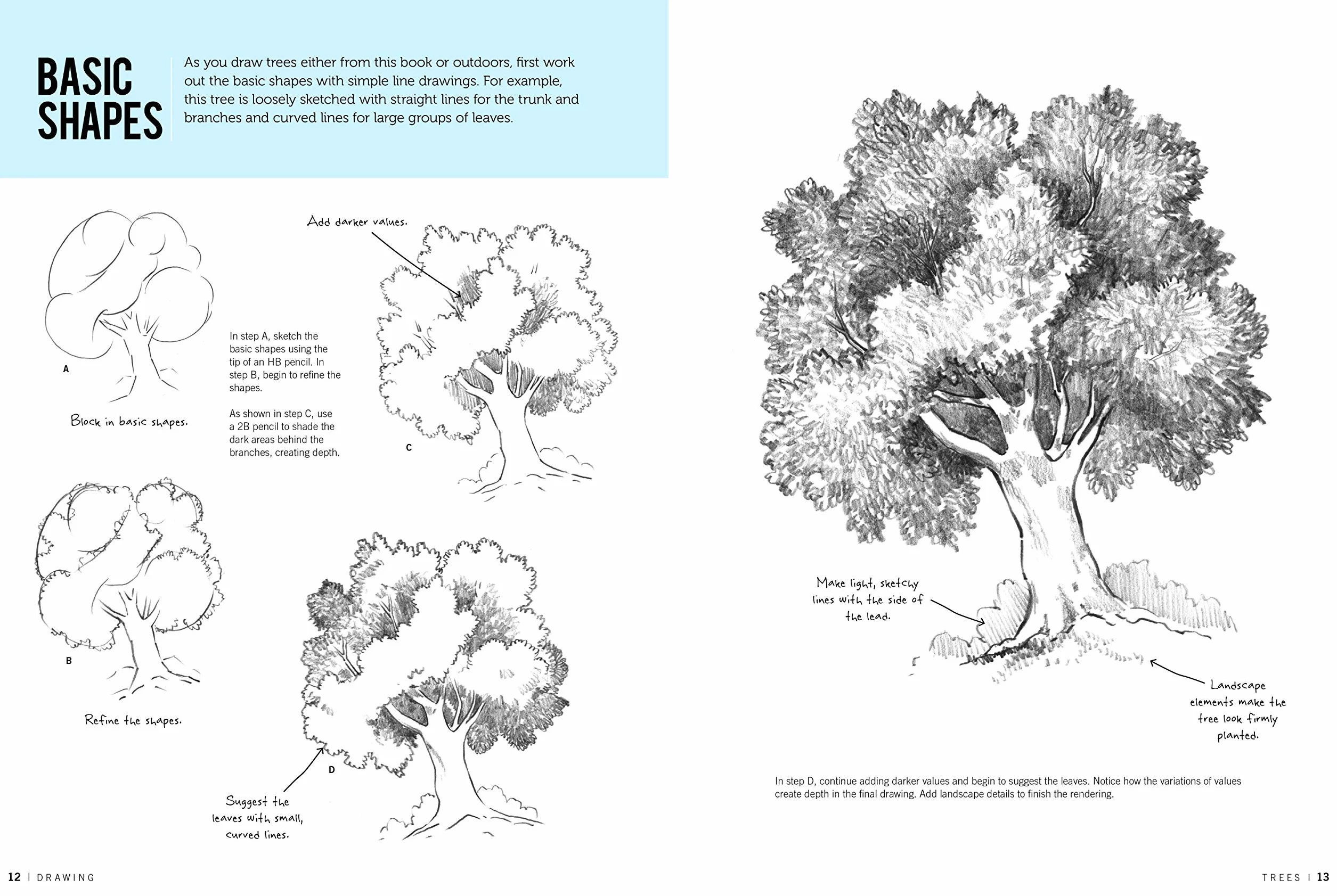 Drawing: Trees with William F. Powell: Learn to Draw Step by Step