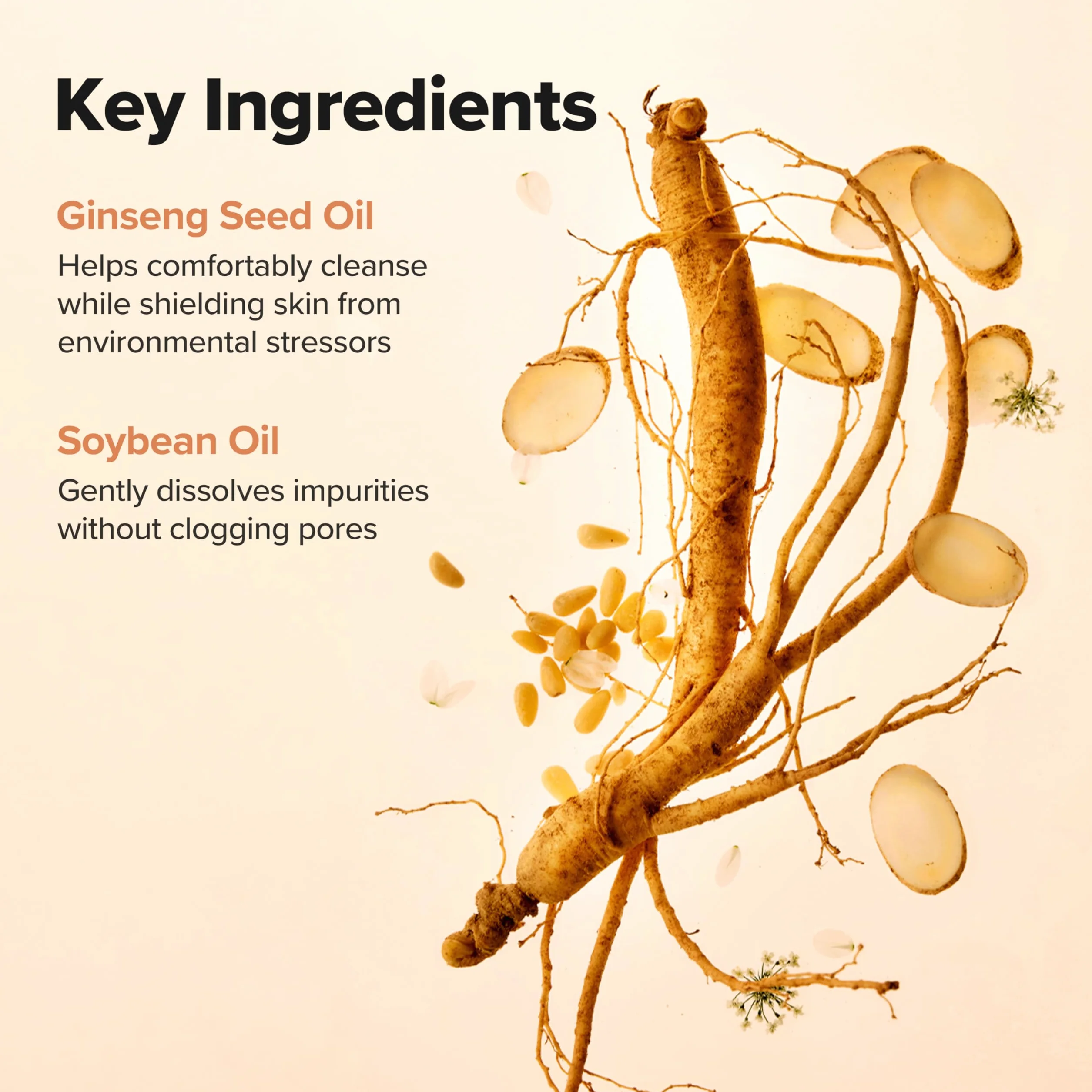 BEAUTY OF JOSEON Ginseng Cleansing Oil (210 ml)