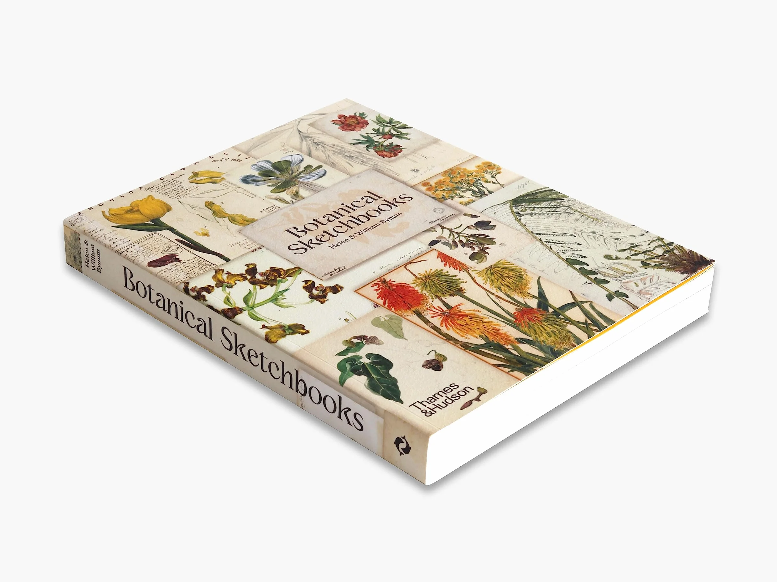 Botanical Sketchbooks (paperback) /anglais