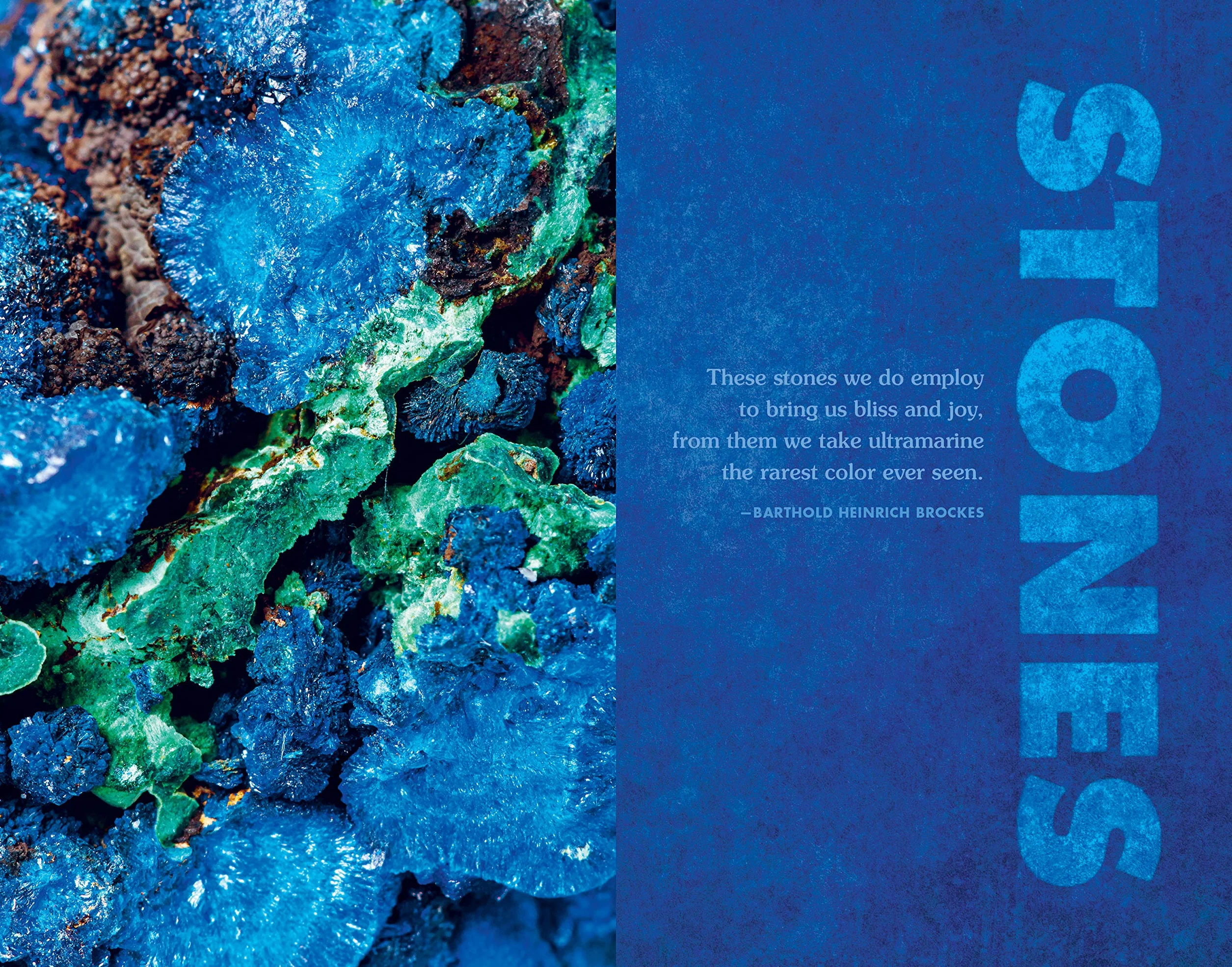 Blue: In Search of Nature's Rarest Color