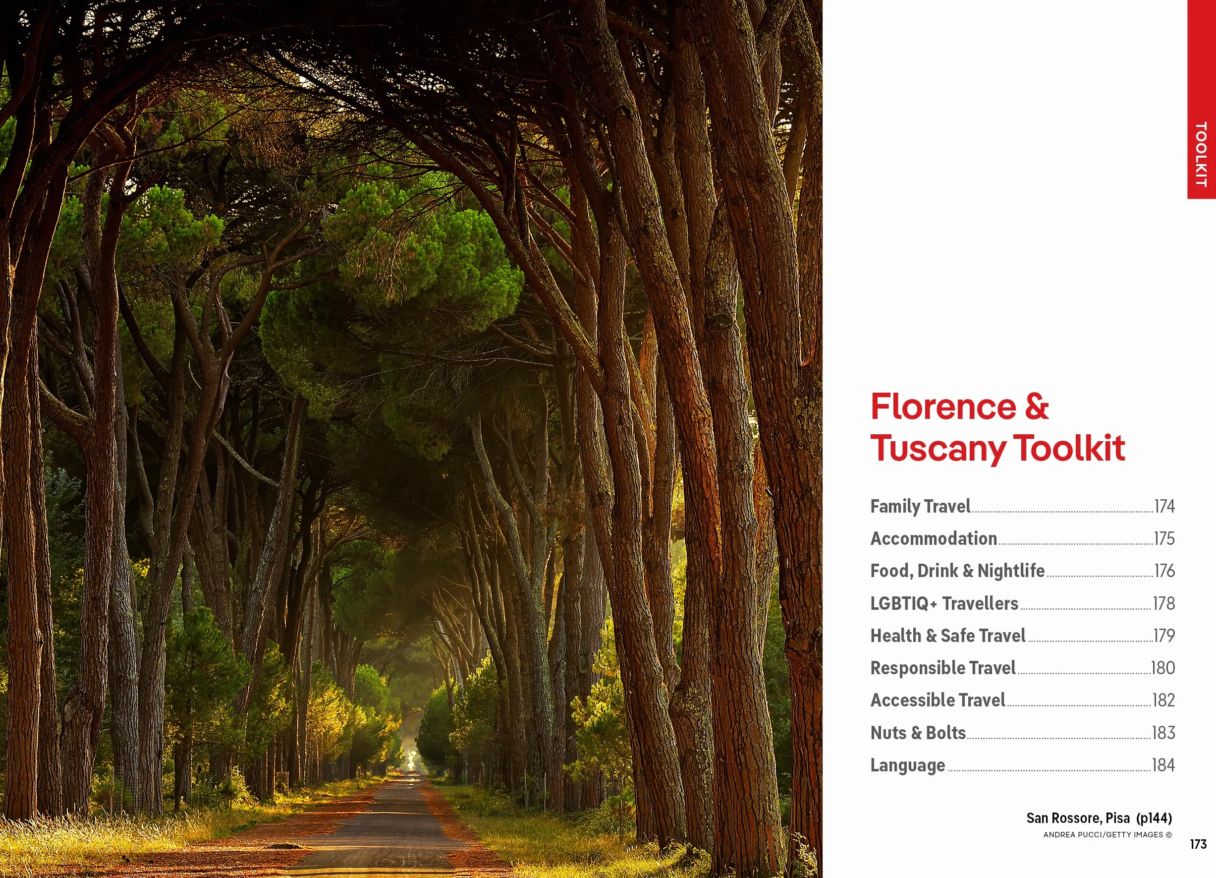 Pocket Florence & Tuscany 7ed -anglais-: Discover Twice the Region in Half the Time | Top Sights | Maps & Walking Tours | Covers Duomo, Tower of Pisa, Florence and more
