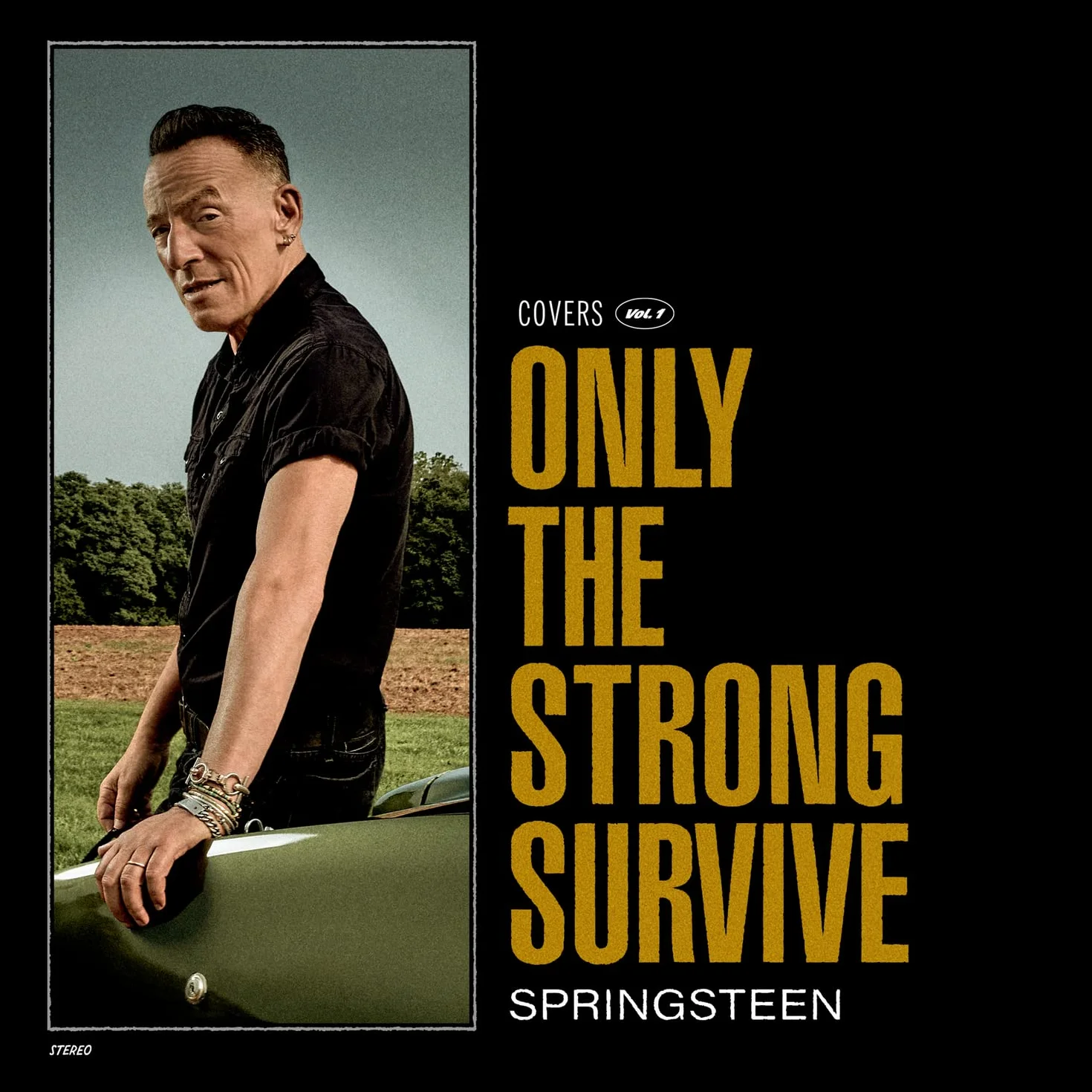 Only The Strong Survive