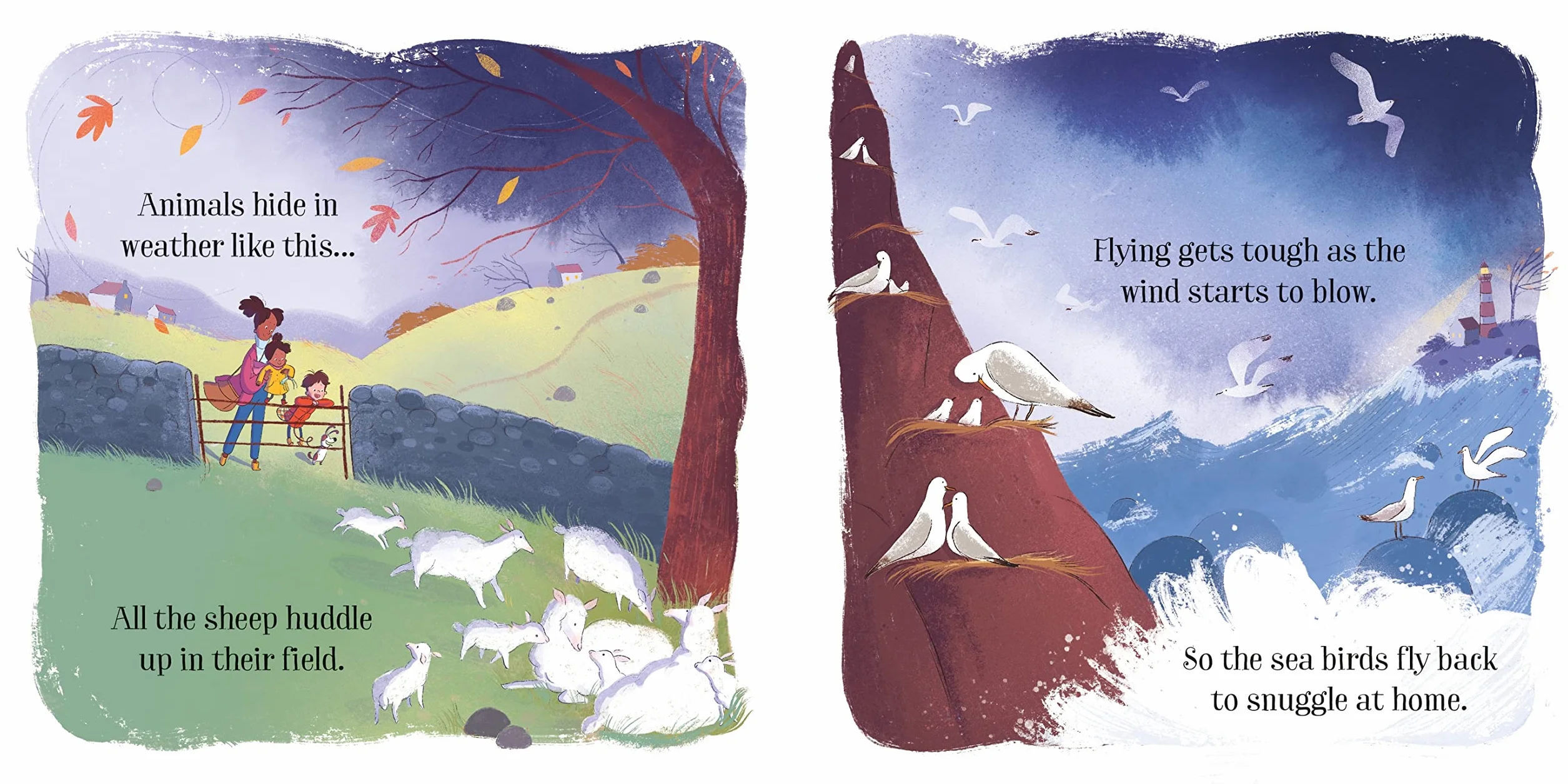 The Stormy Day (Little Board Books): 1