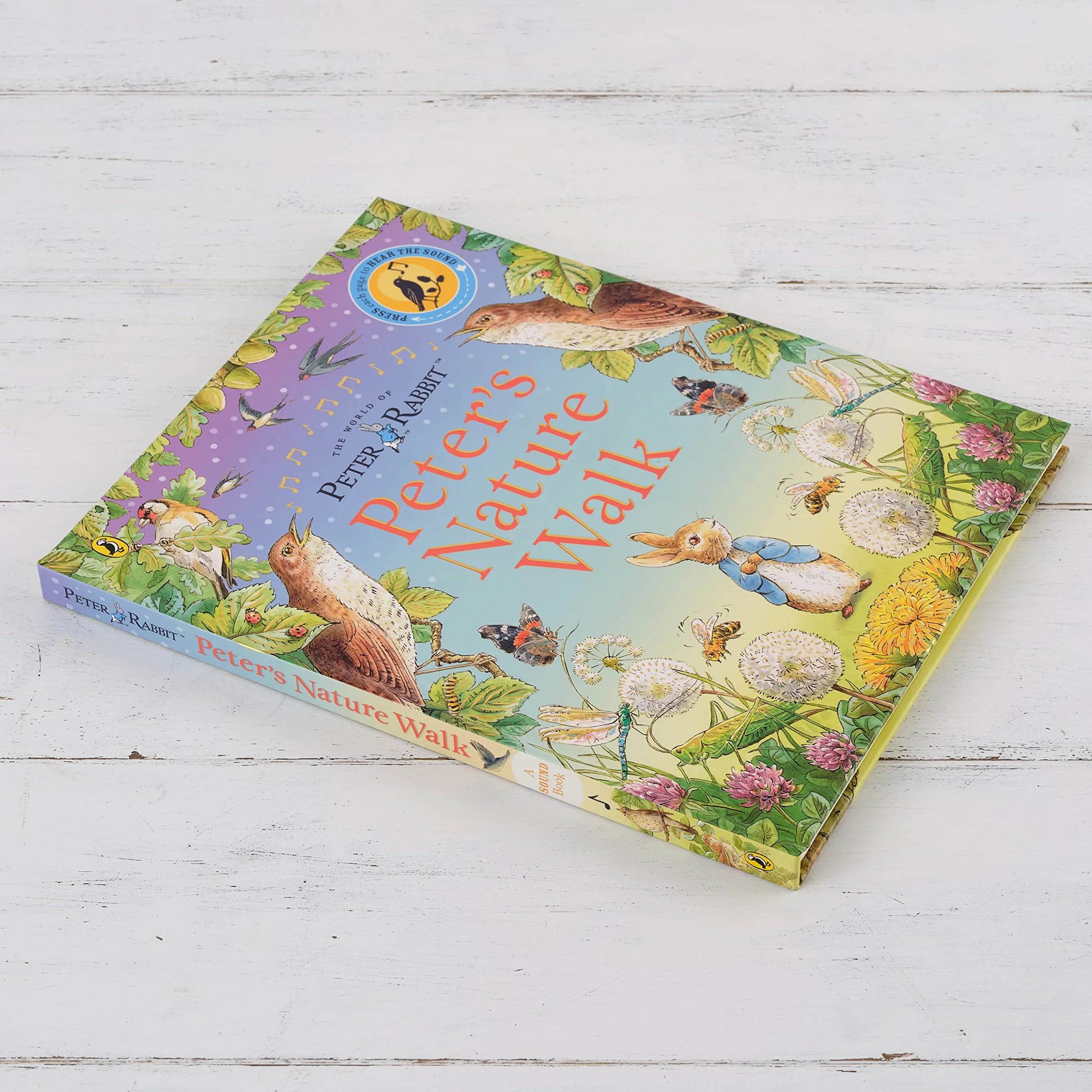 Peter Rabbit: Peter's Nature Walk: A Sound Book