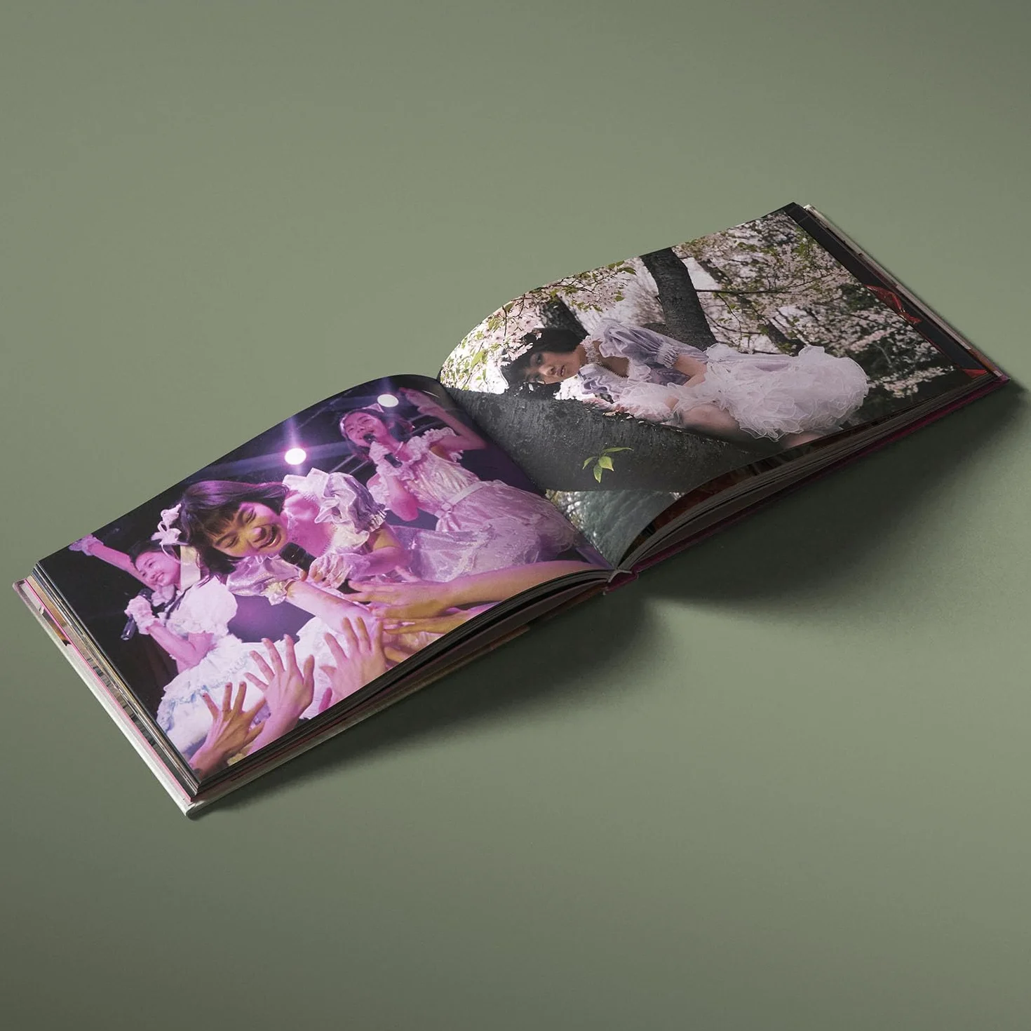 Petra Collins STAR /anglais