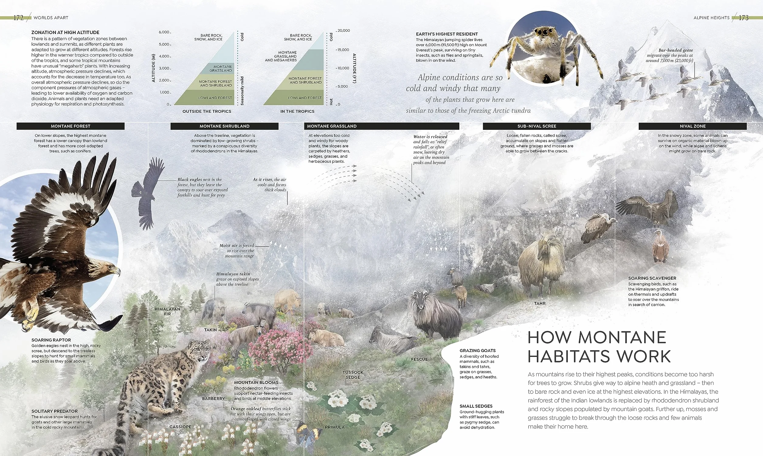 Habitats: Discover Earth's Precious Wild Places