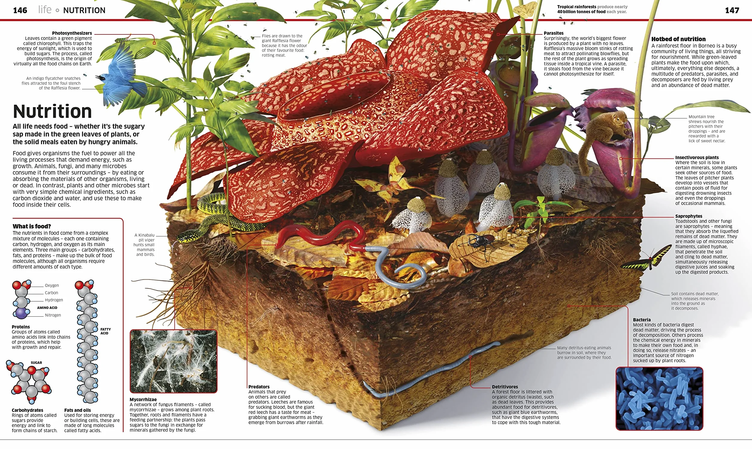 Knowledge Encyclopedia Science!