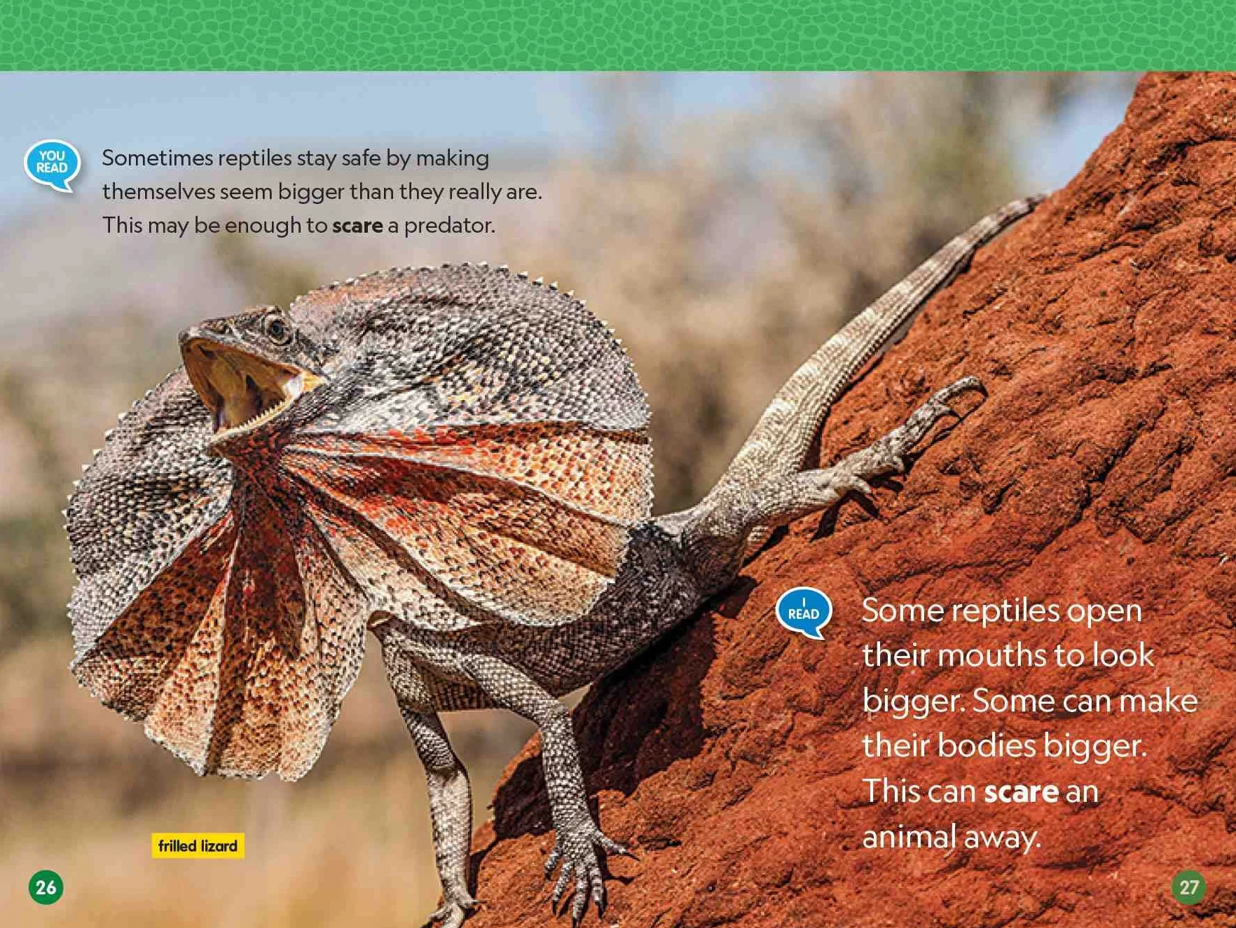 National Geographic Reader: Reptiles (L1/Co-reader)