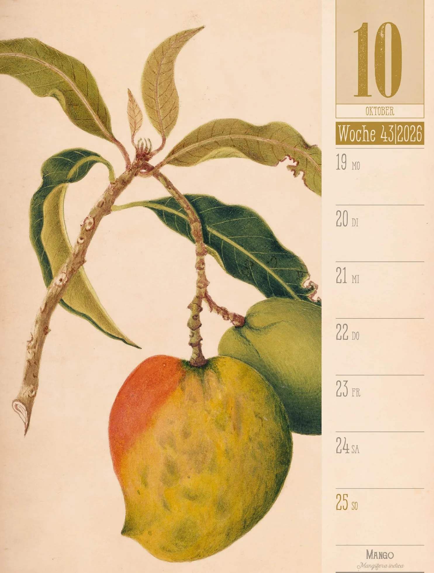 Culinarium Wochenplaner Kalender 2026 | Küche, Kräuter, Kurioses: Informativer Küchen-Wochenkalender im Hochformat (25x33 cm) | Vintage & Retro