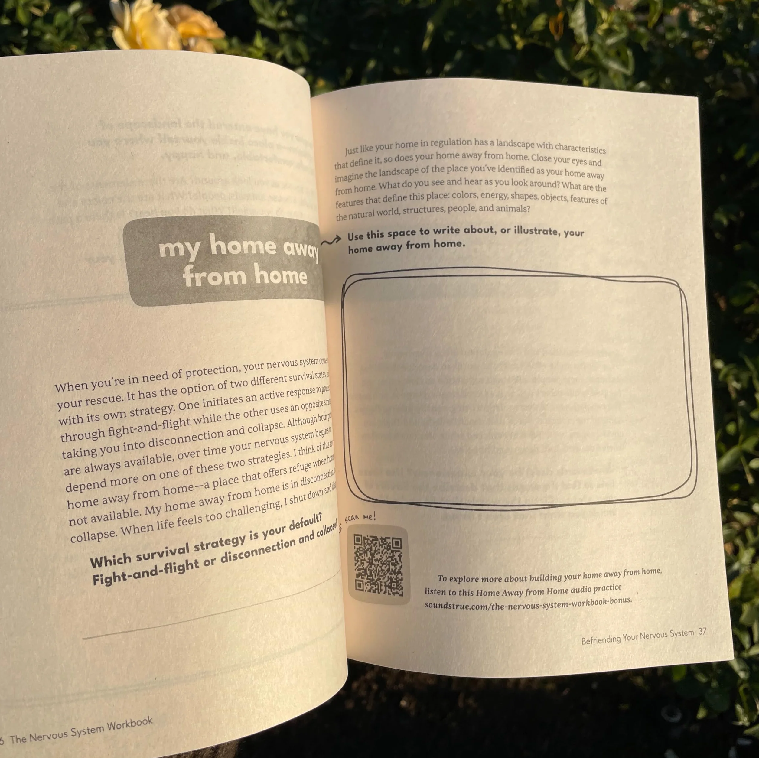 The Nervous System Workbook: Practical Exercises to Ease Anxiety, Find Safety, and Come Home to Yourself Using Polyvagal Theory