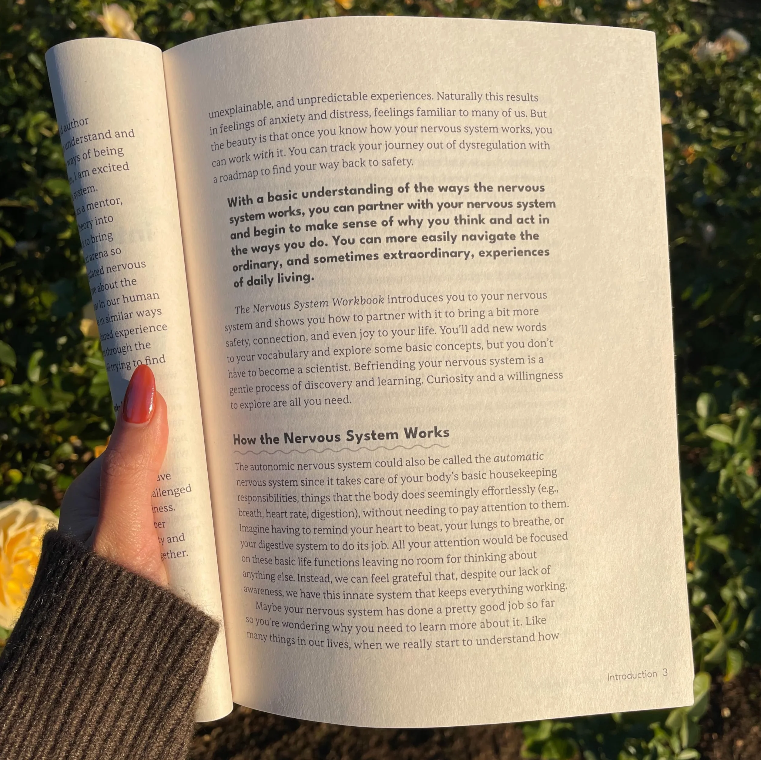 The Nervous System Workbook: Practical Exercises to Ease Anxiety, Find Safety, and Come Home to Yourself Using Polyvagal Theory