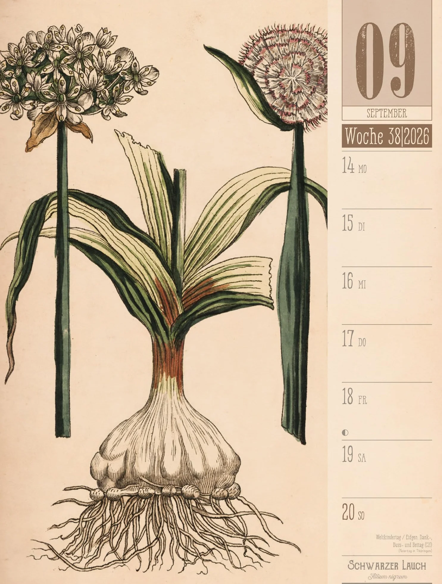 Culinarium Wochenplaner Kalender 2026 | Küche, Kräuter, Kurioses: Informativer Küchen-Wochenkalender im Hochformat (25x33 cm) | Vintage & Retro