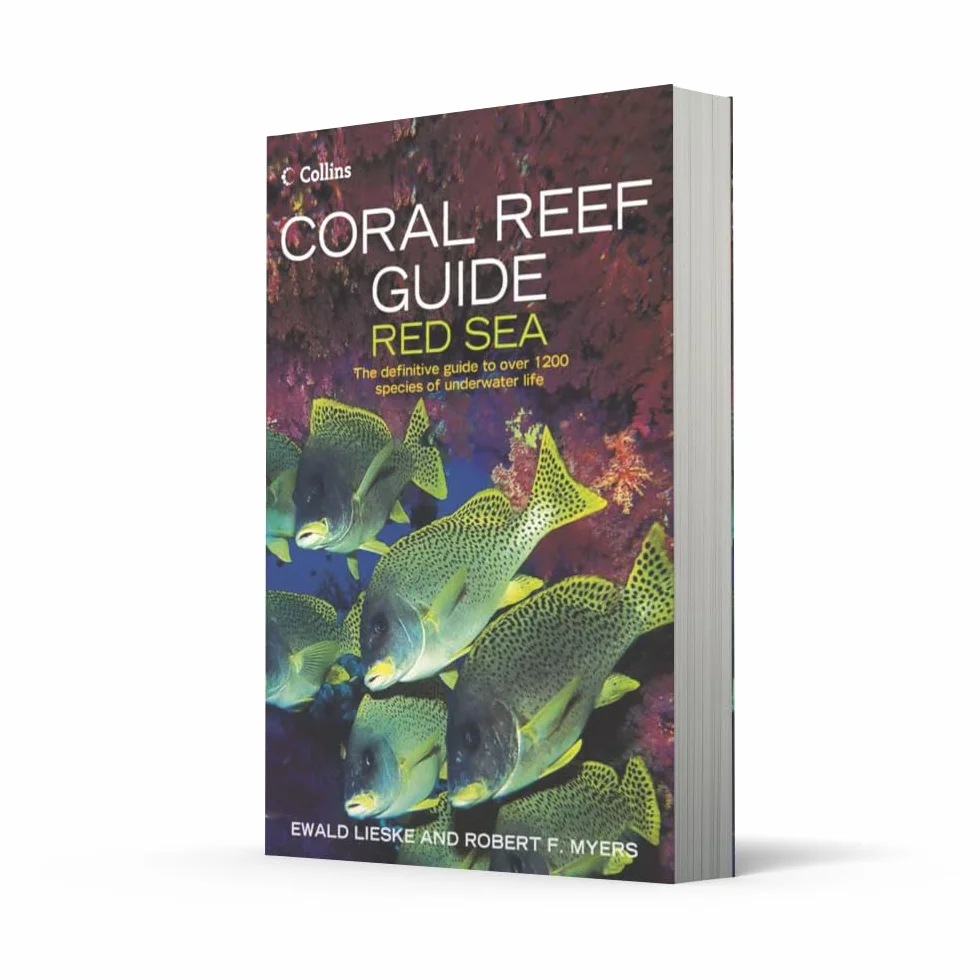 Coral Reef Guide Red Sea: The complete Red Sea marine life guide for diving and snorkelling enthusiasts