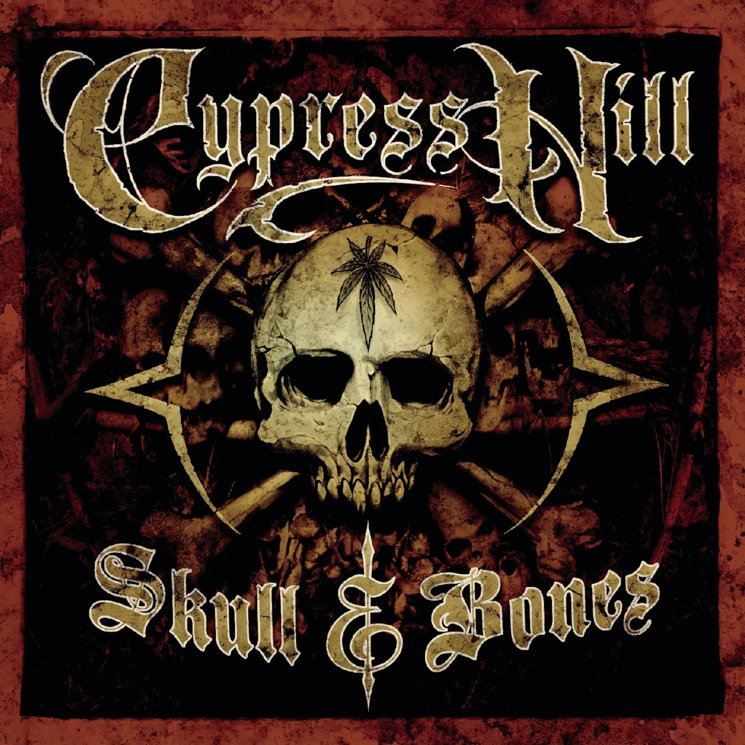 Skull & Bones