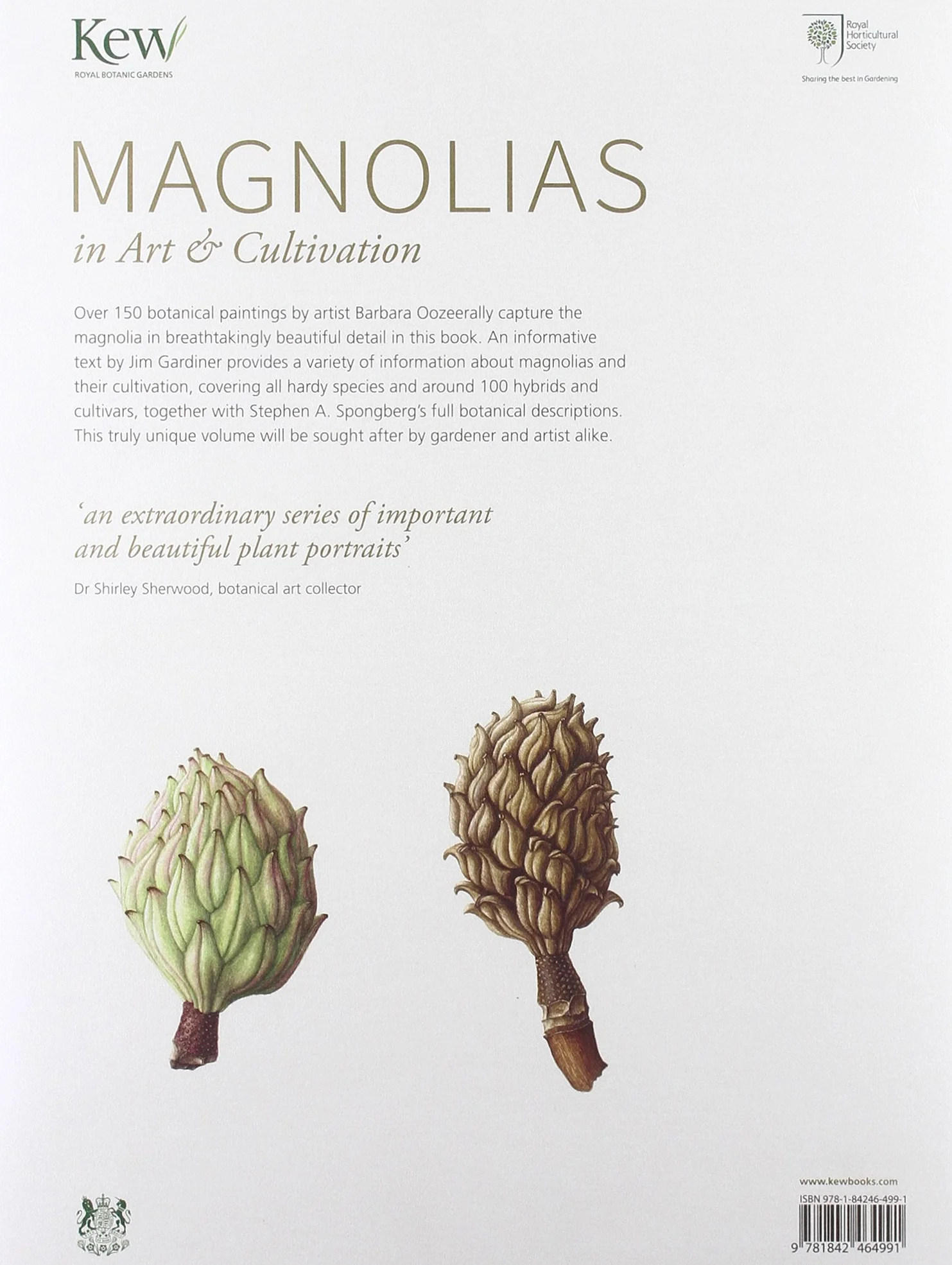 Magnolias in Art & Cultivation