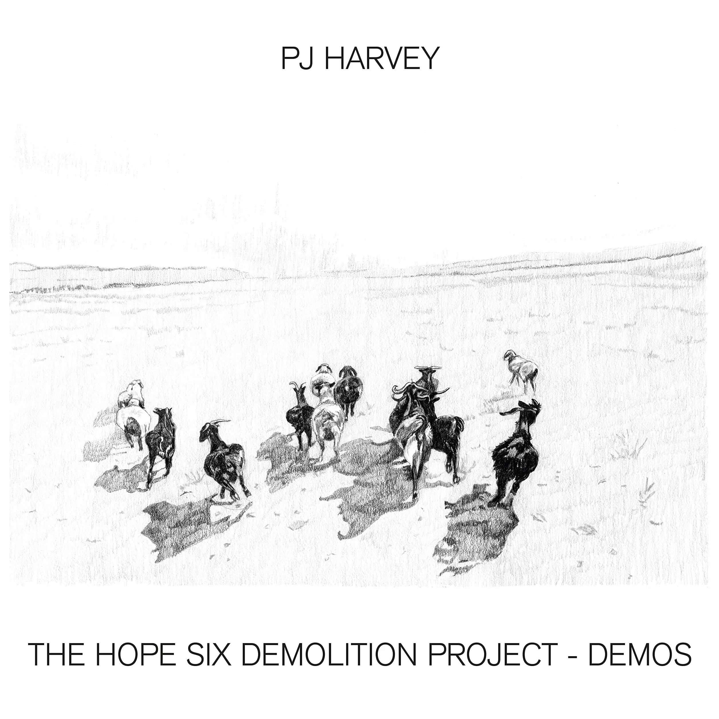 The Hope Six Demolition Project - Demos