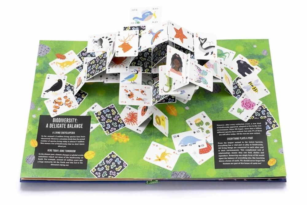Pop-Up Earth: 1