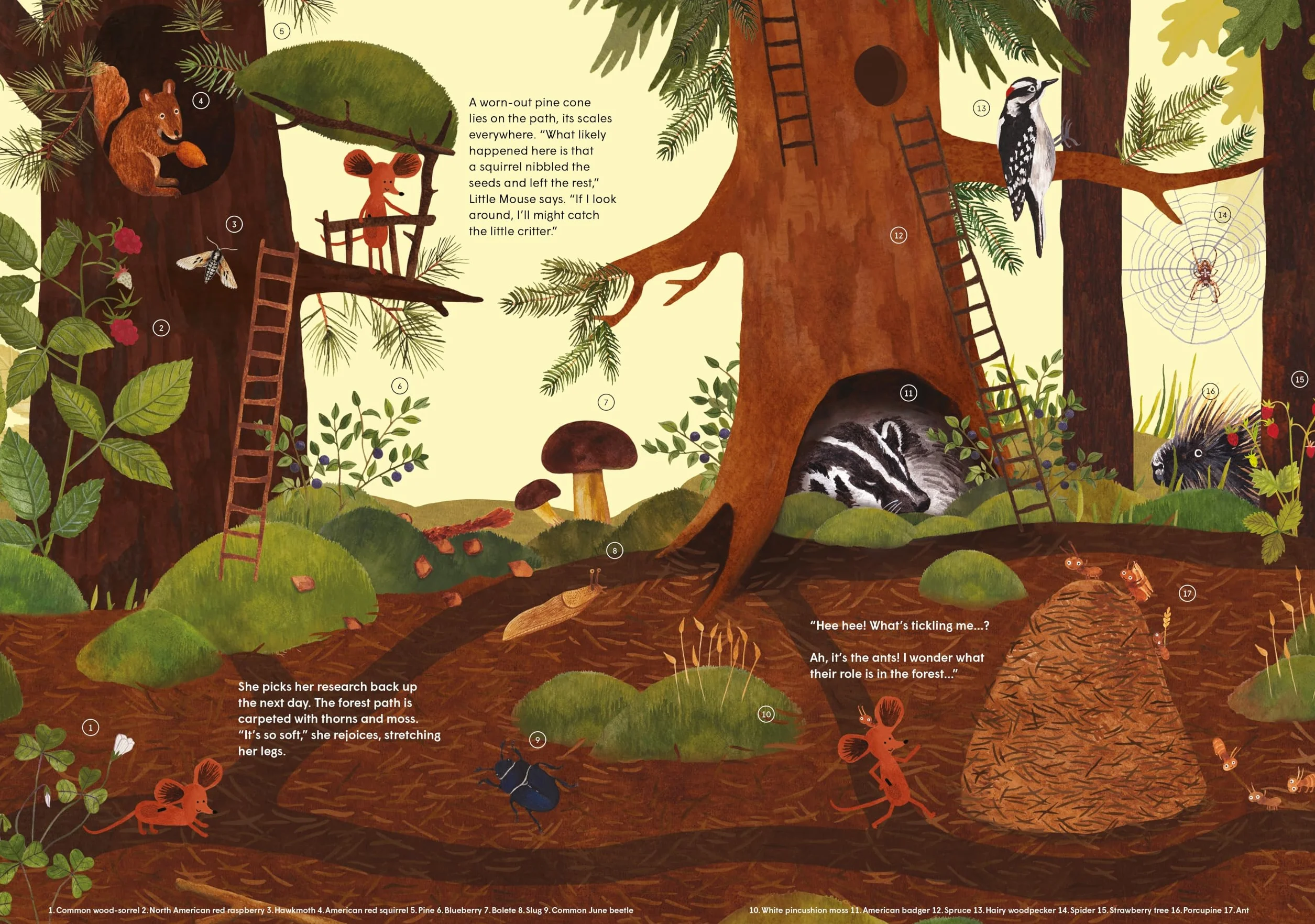 Little Mouse's Encyclopedia: A Picture Book about the Wonders of Nature