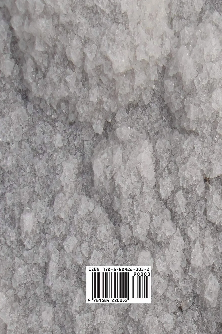 The Price of Salt