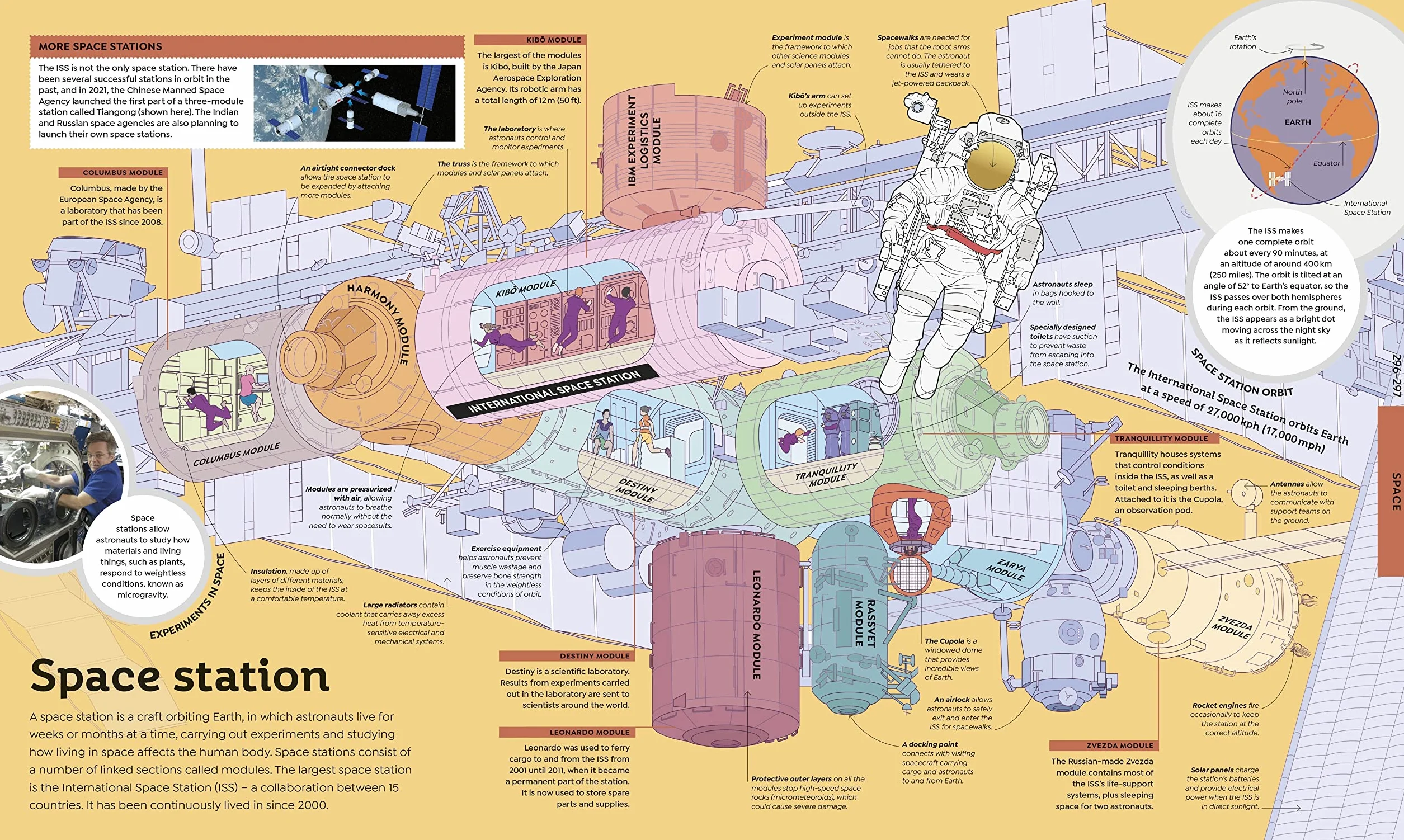 How Everything Works: From Brain Cells to Black Holes