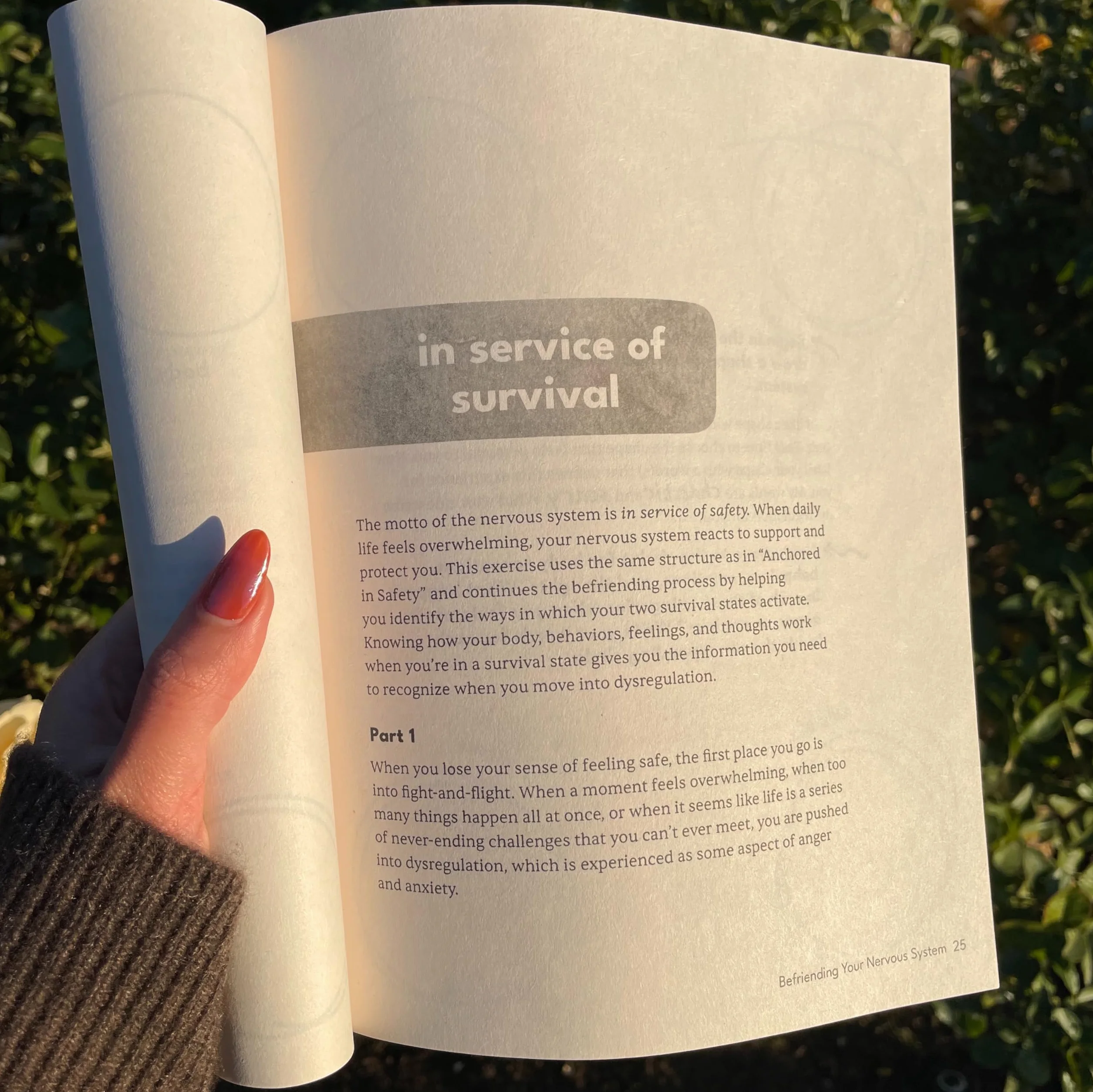 The Nervous System Workbook: Practical Exercises to Ease Anxiety, Find Safety, and Come Home to Yourself Using Polyvagal Theory