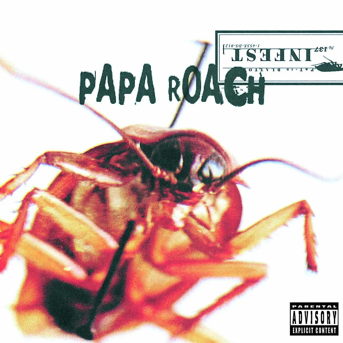 Infestexplicit_lyrics