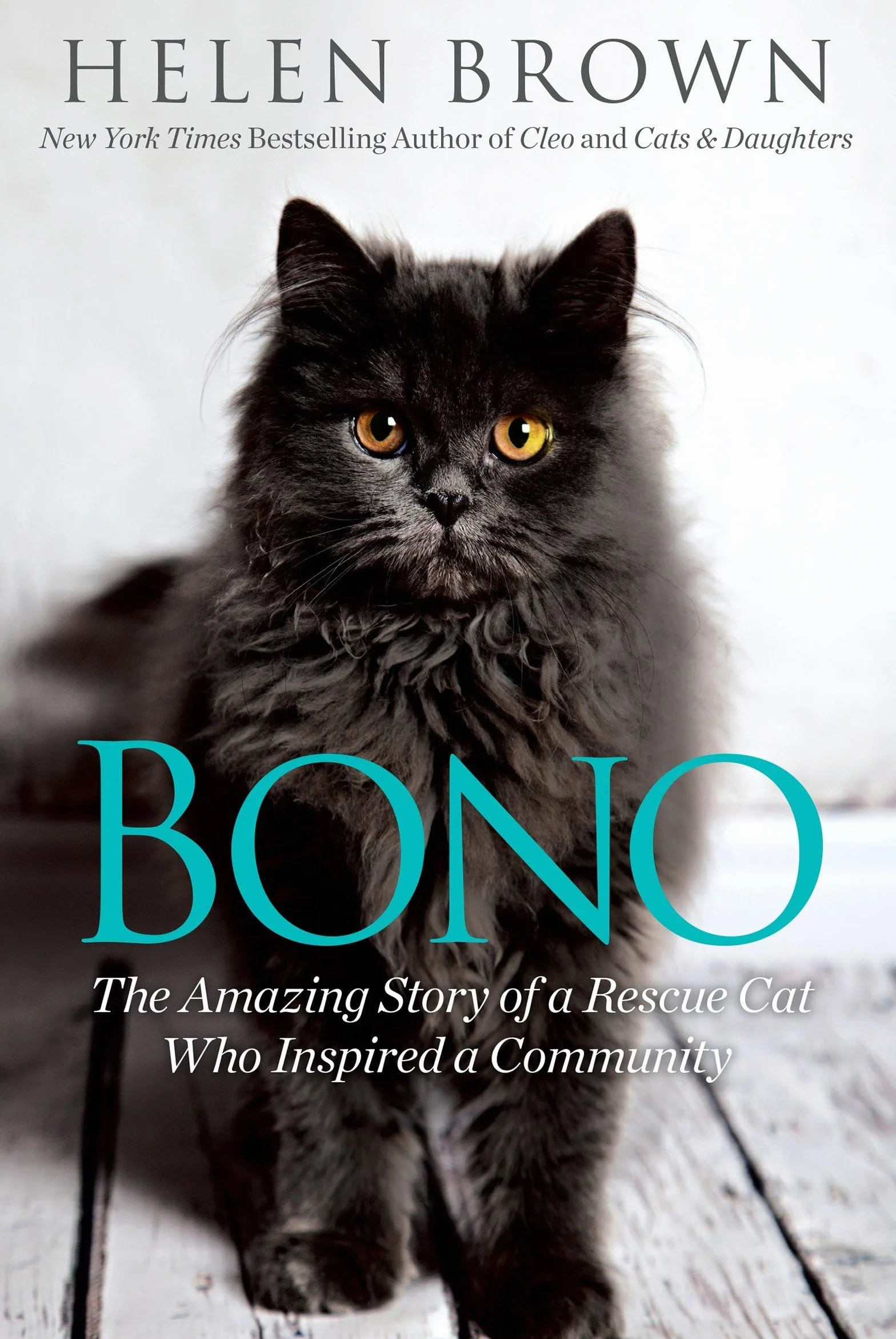 Bono: The Amazing Story of a Rescue Cat Who Inspired a Community