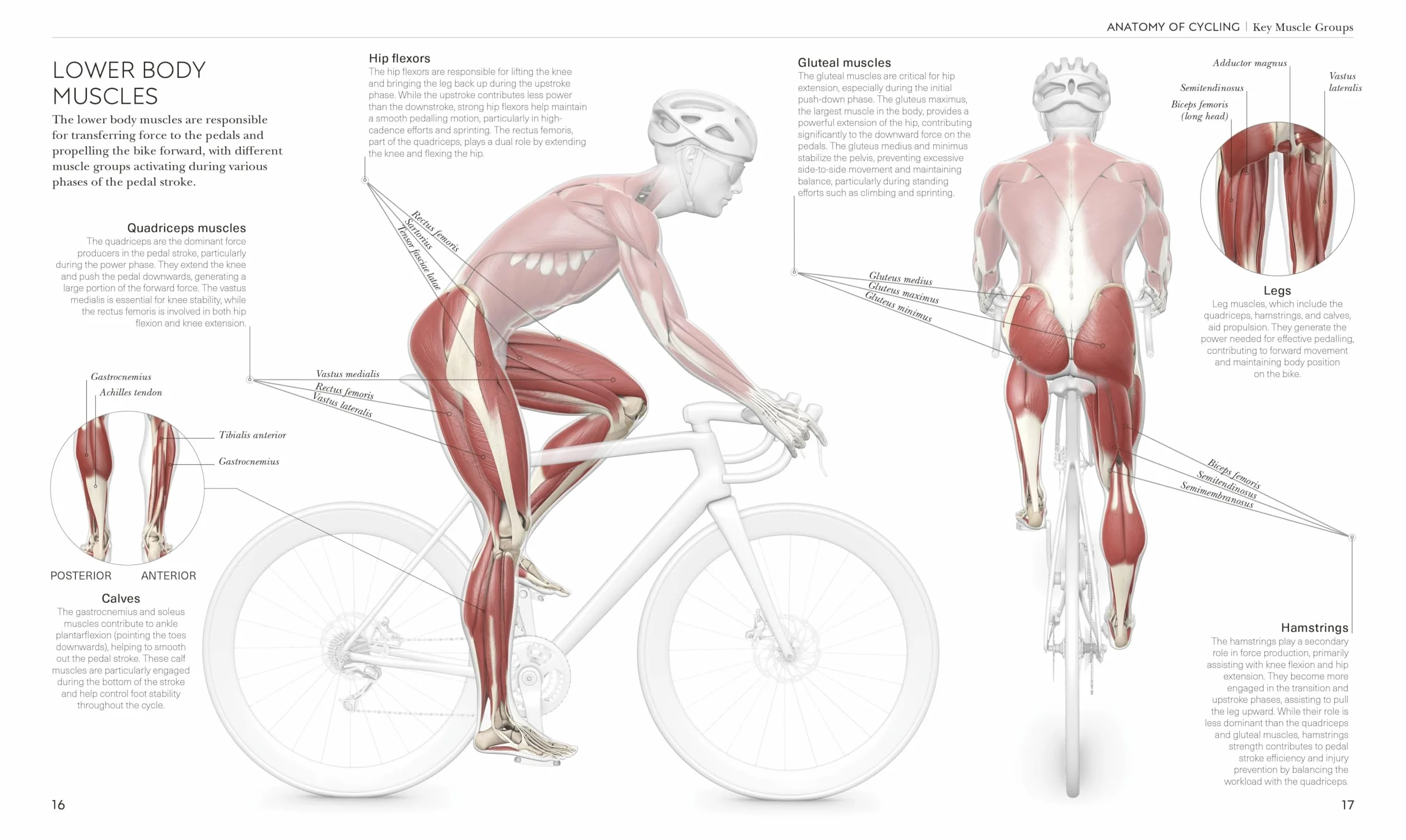 Science of Cycling: Transform Your Ride, Gain Strength, Revolutionize Your Training