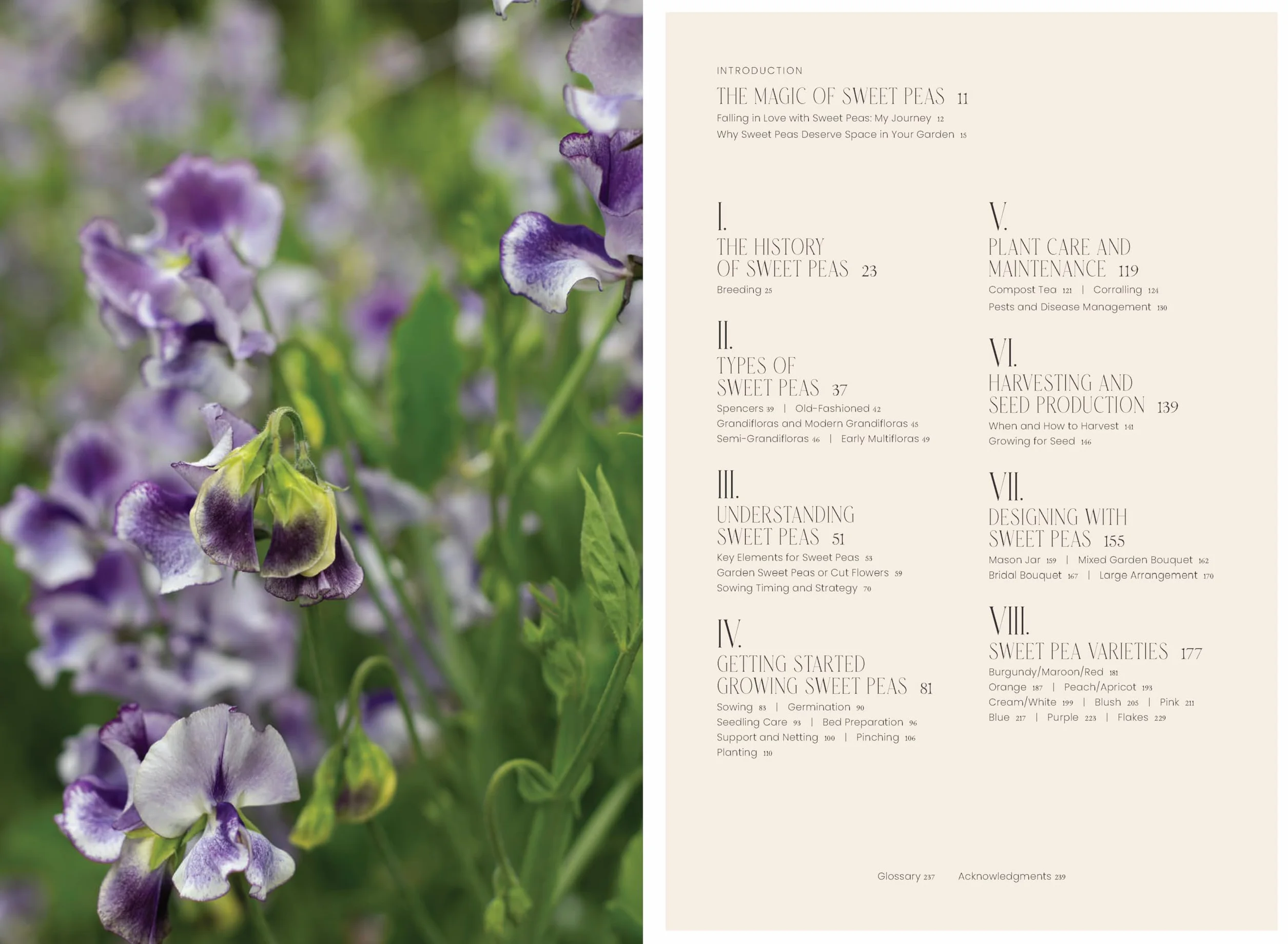 Sweet Pea School: Growing & Arranging the Garden's Most Romantic Blooms