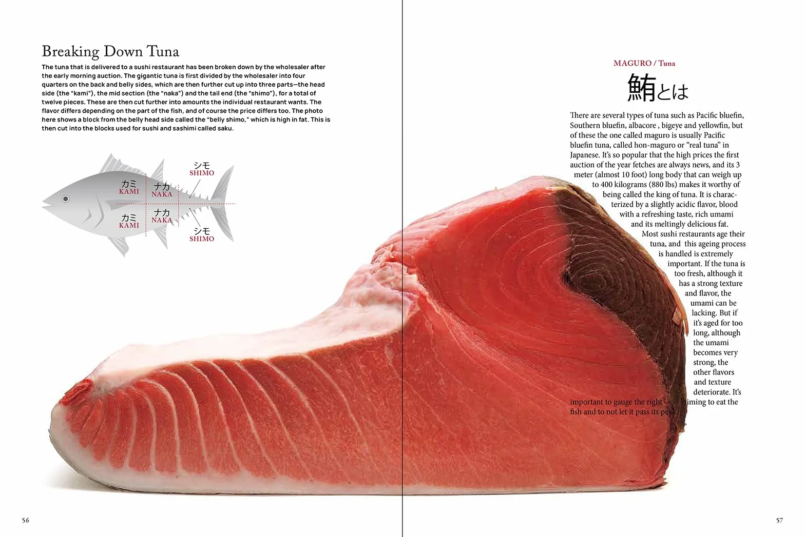 The Art and Science of Sushi: A Comprehensive Guide to Ingredients, Techniques and Equipment