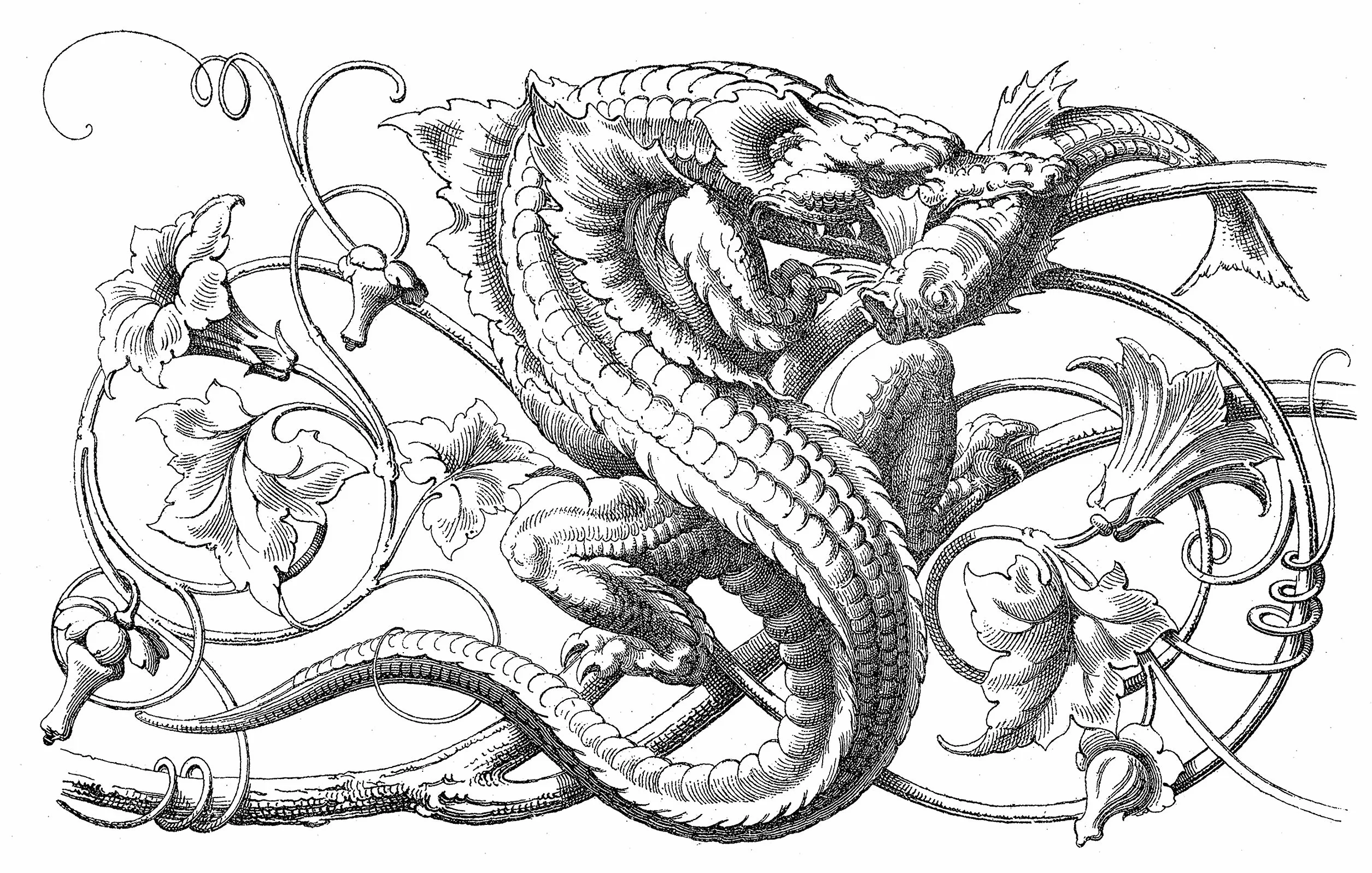 Fantastic Ornament: 110 Designs and Motifs