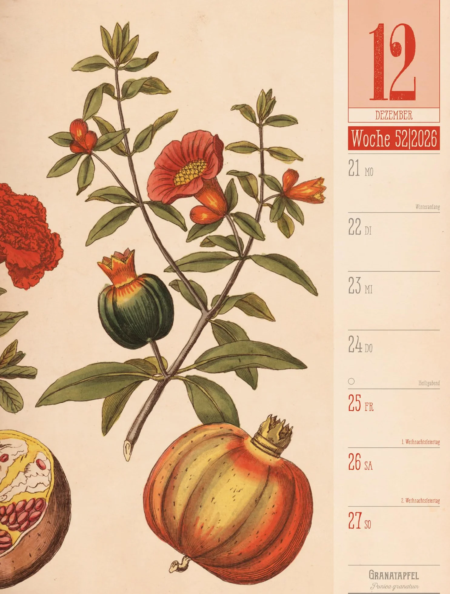 Culinarium Wochenplaner Kalender 2026 | Küche, Kräuter, Kurioses: Informativer Küchen-Wochenkalender im Hochformat (25x33 cm) | Vintage & Retro