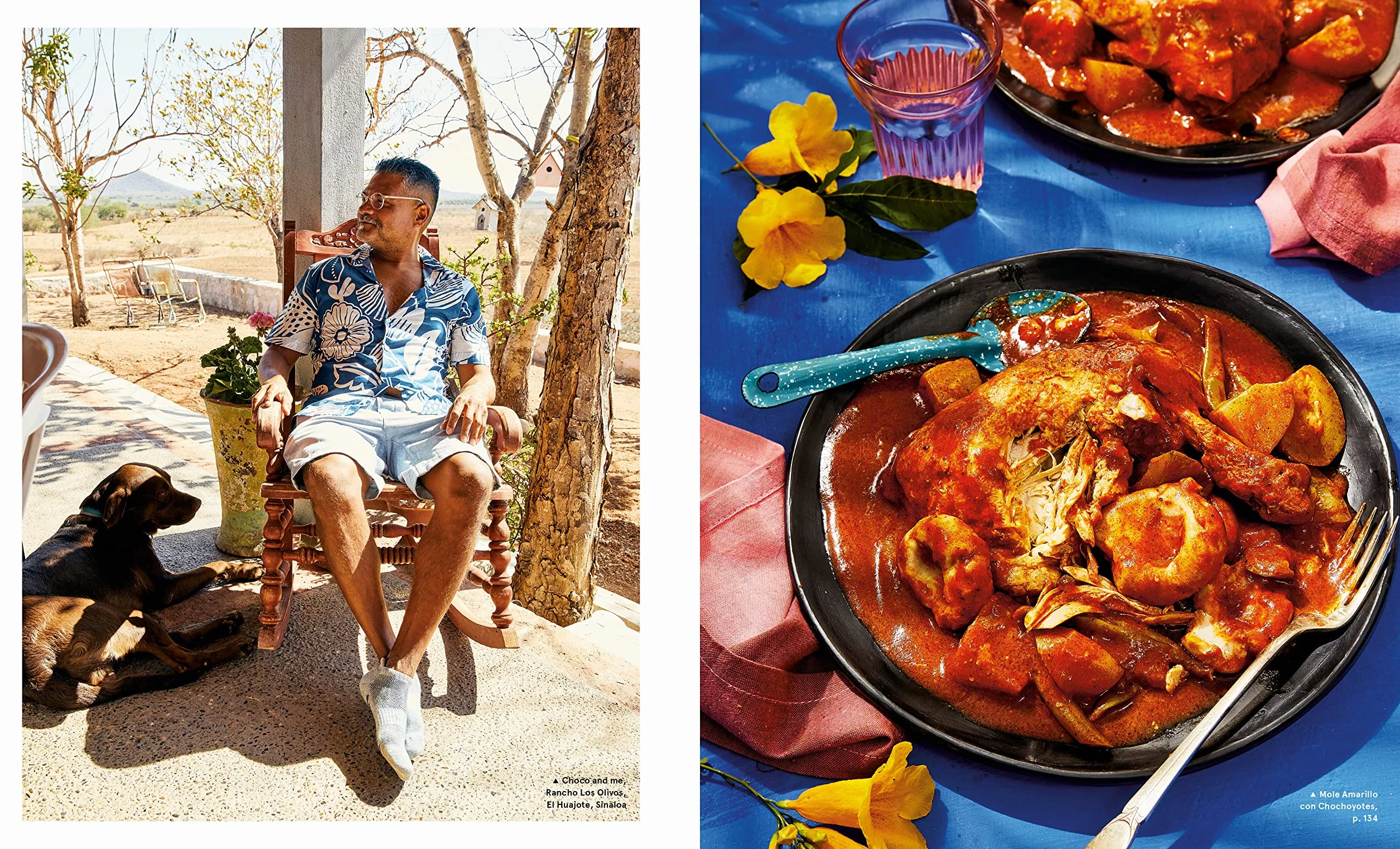 Mi Cocina: Recipes and Rapture from My Kitchen in Mexico: A Cookbook