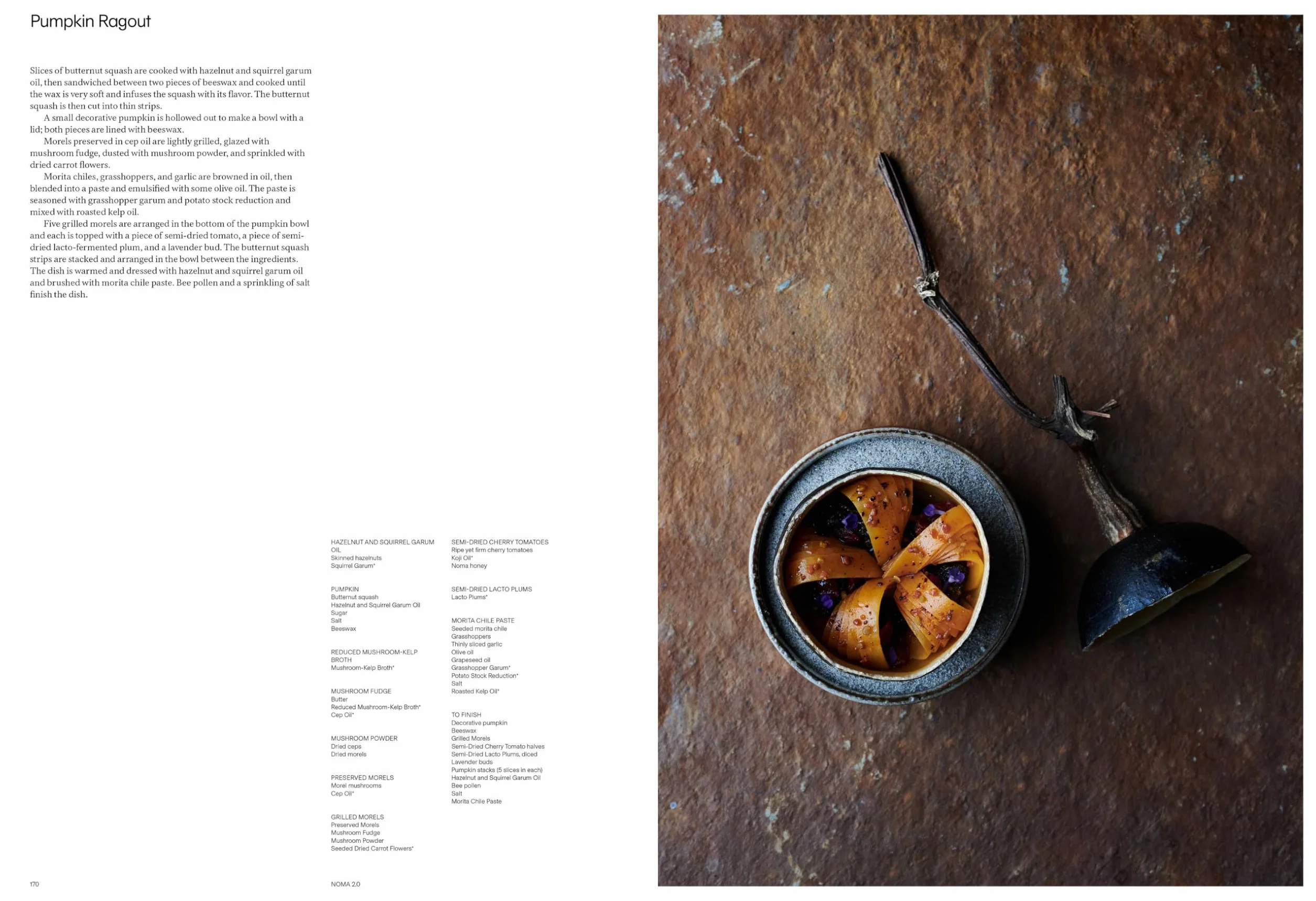Noma 2.0 /anglais: Vegetable, Forest, Ocean