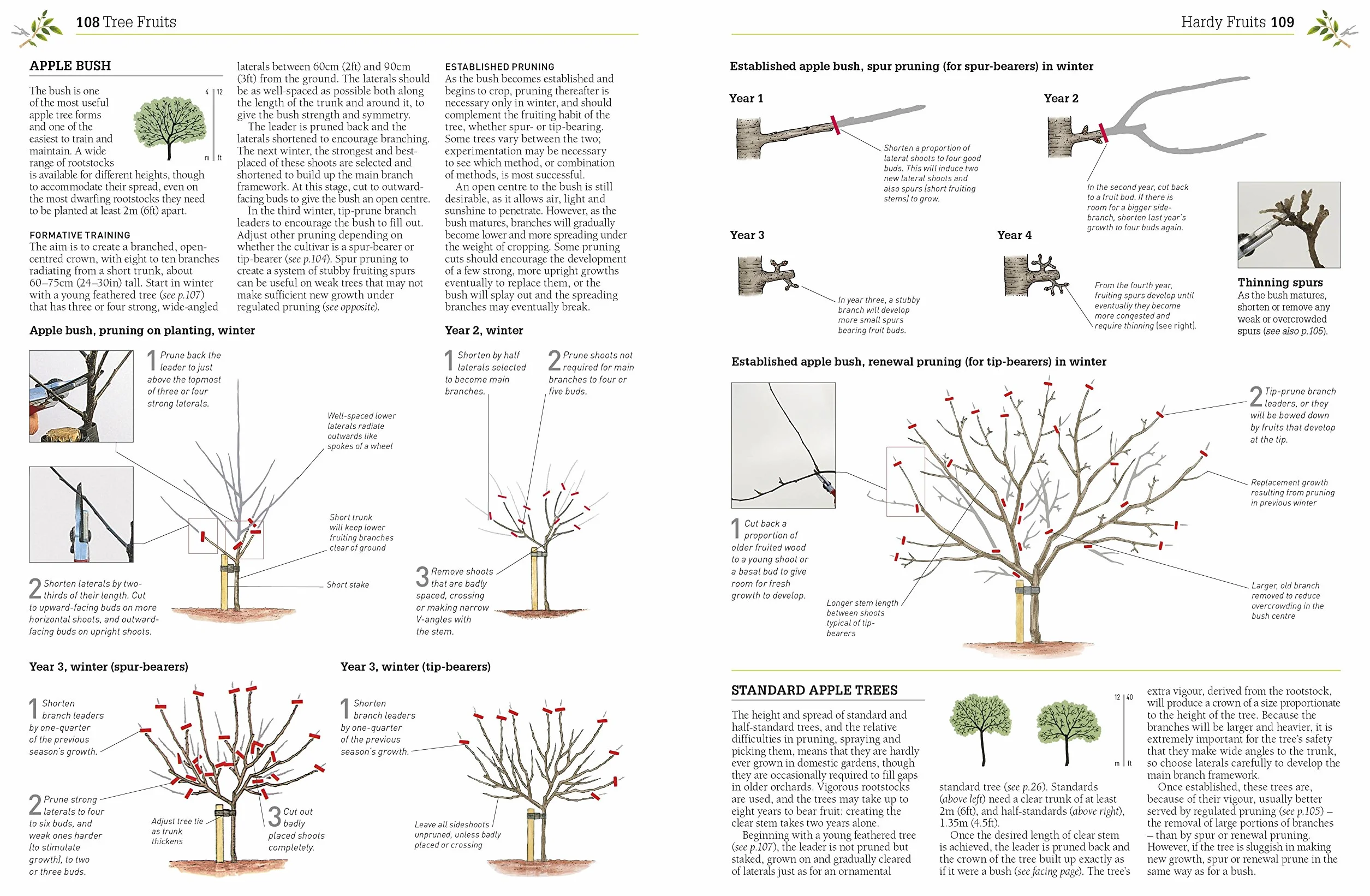 RHS Pruning and Training: Revised New Edition; Over 800 Plants; What, When, and How to Prune