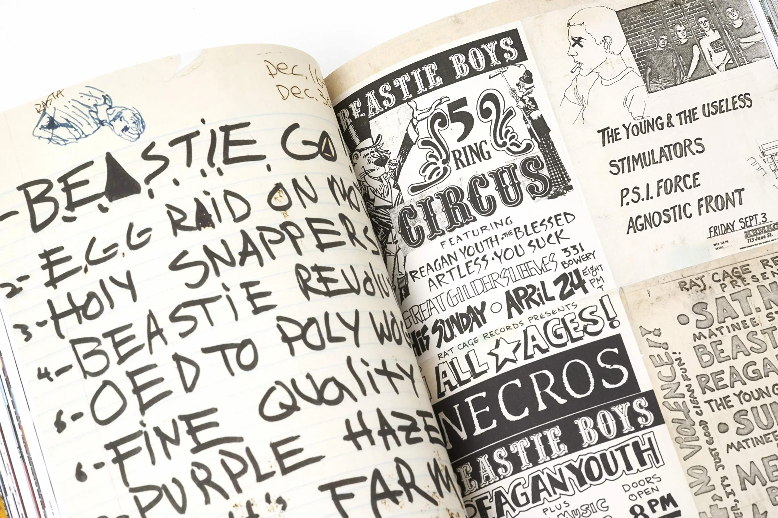 Beastie Boys Book