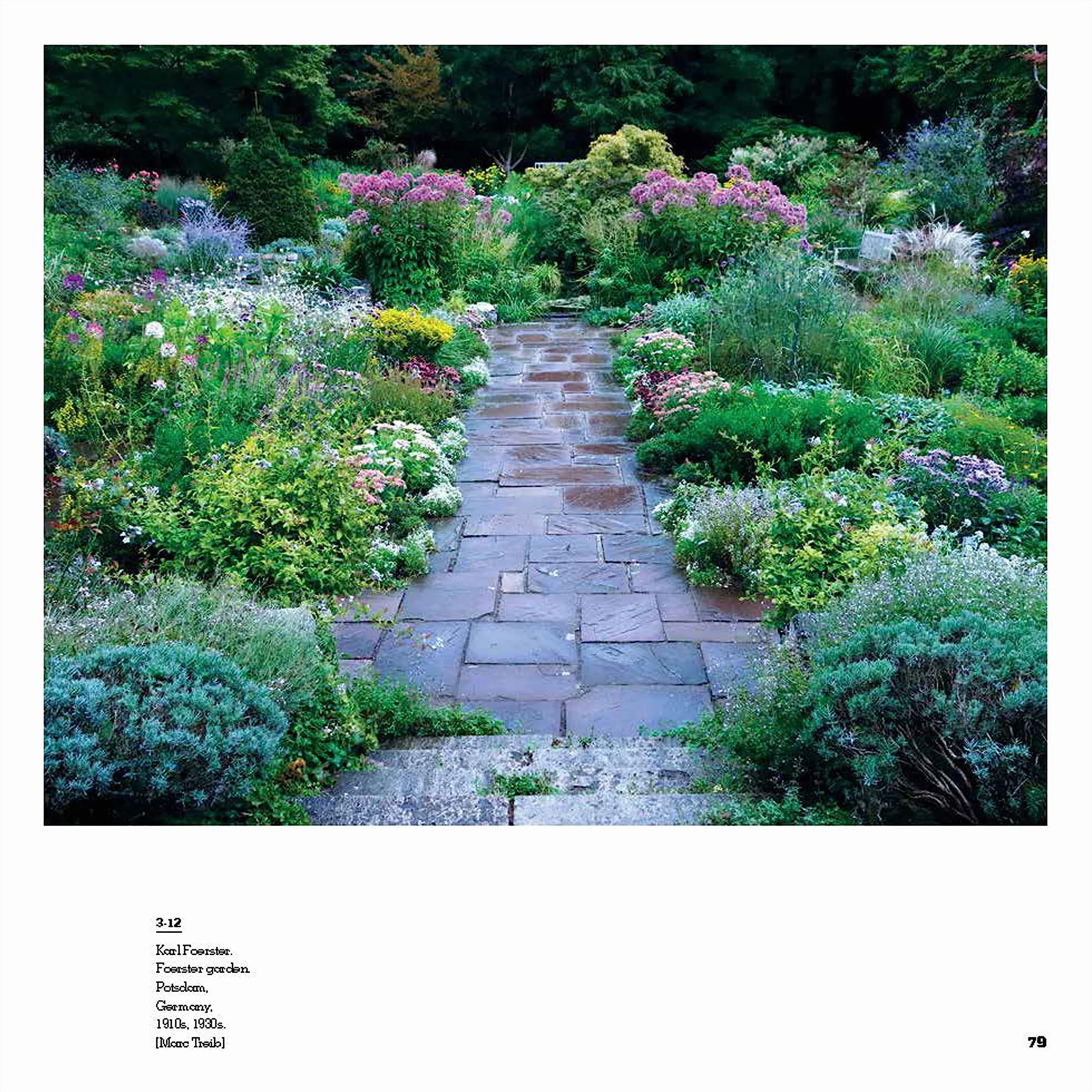 Aesthetics Of Contemporary Planting Design /anglais