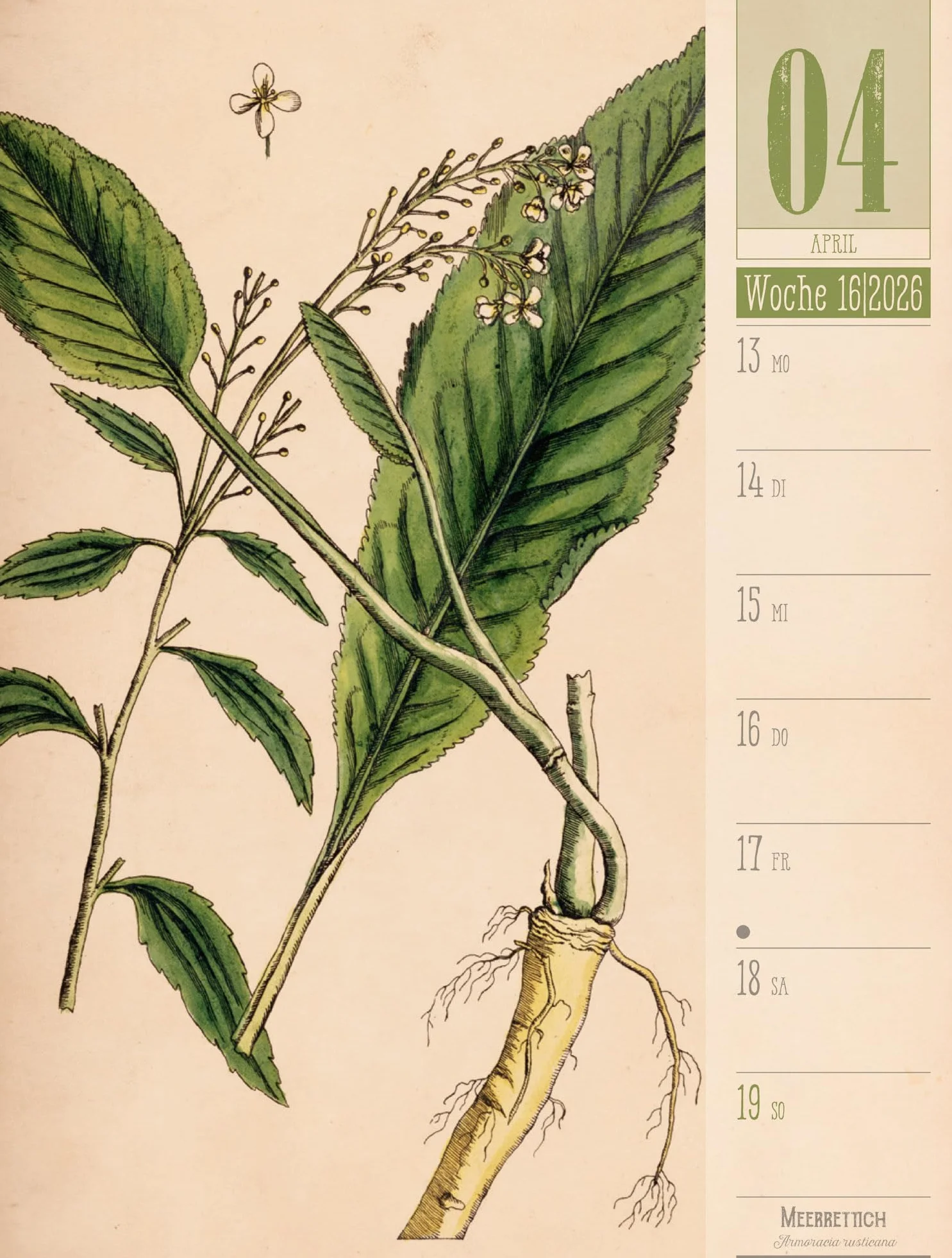 Culinarium Wochenplaner Kalender 2026 | Küche, Kräuter, Kurioses: Informativer Küchen-Wochenkalender im Hochformat (25x33 cm) | Vintage & Retro