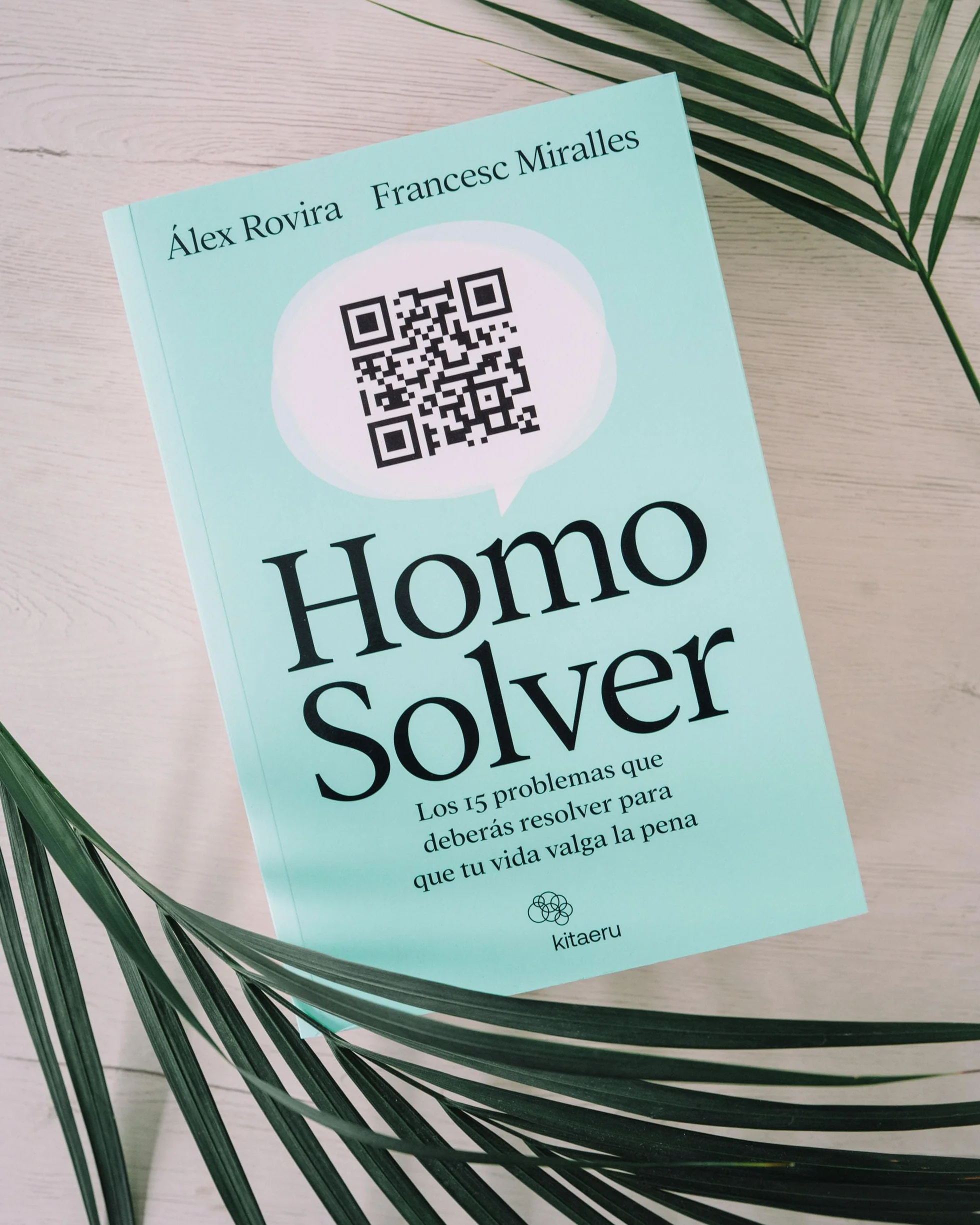 Homo Solver: Los 15 problemas que deberás resolver para que tu vida valga la pena