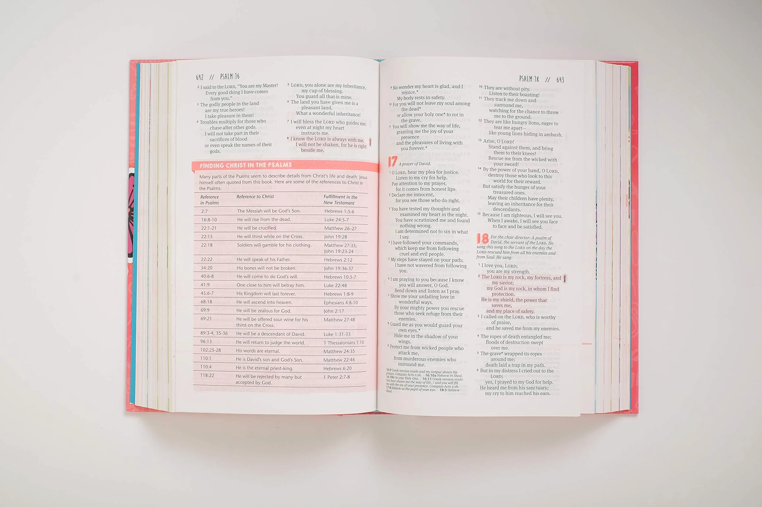 Girls Life Application Study Bible-NLT: New Living Translation