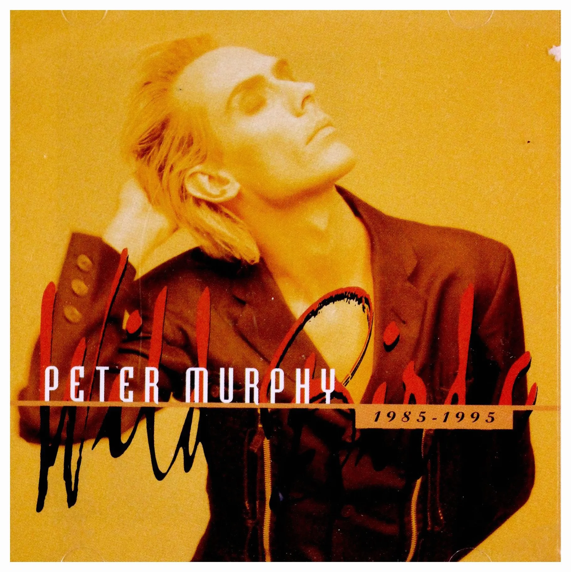 Wild Birds: 1985 - 1995