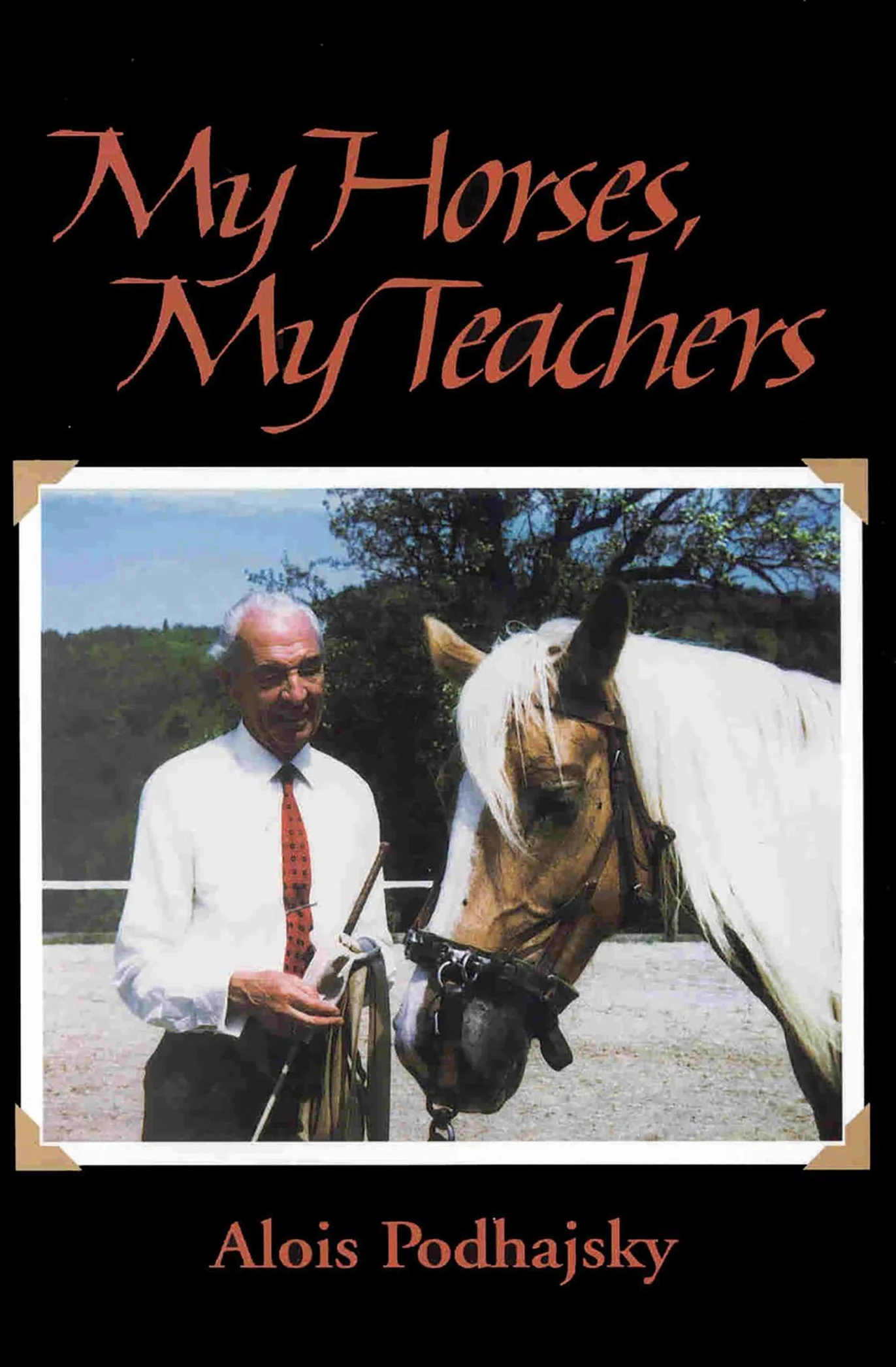My Horses, My Teachers: In Search of Feel and Connection with the Horse