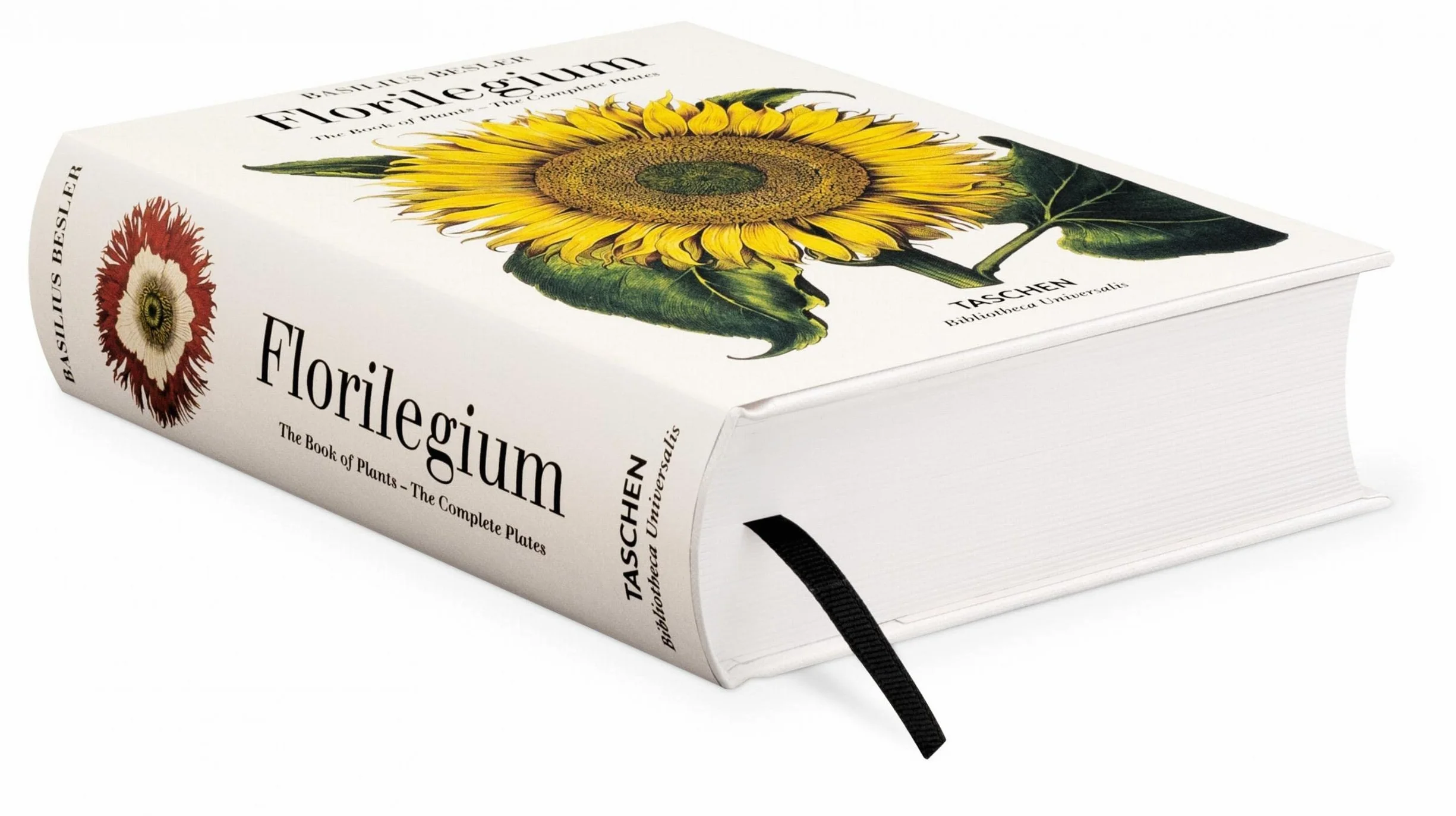 Basilius Besler: Der Garten von Eichstätt. Hortus Eystettensis
