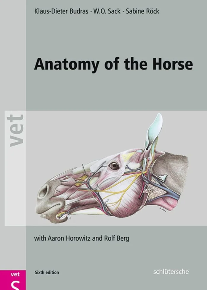 Anatomy of the Horse: with Aaron Horowitz and Rolf Berg