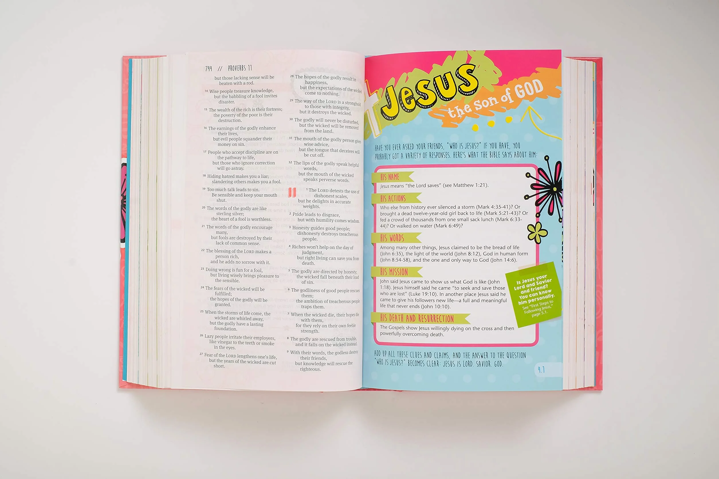 Girls Life Application Study Bible-NLT: New Living Translation